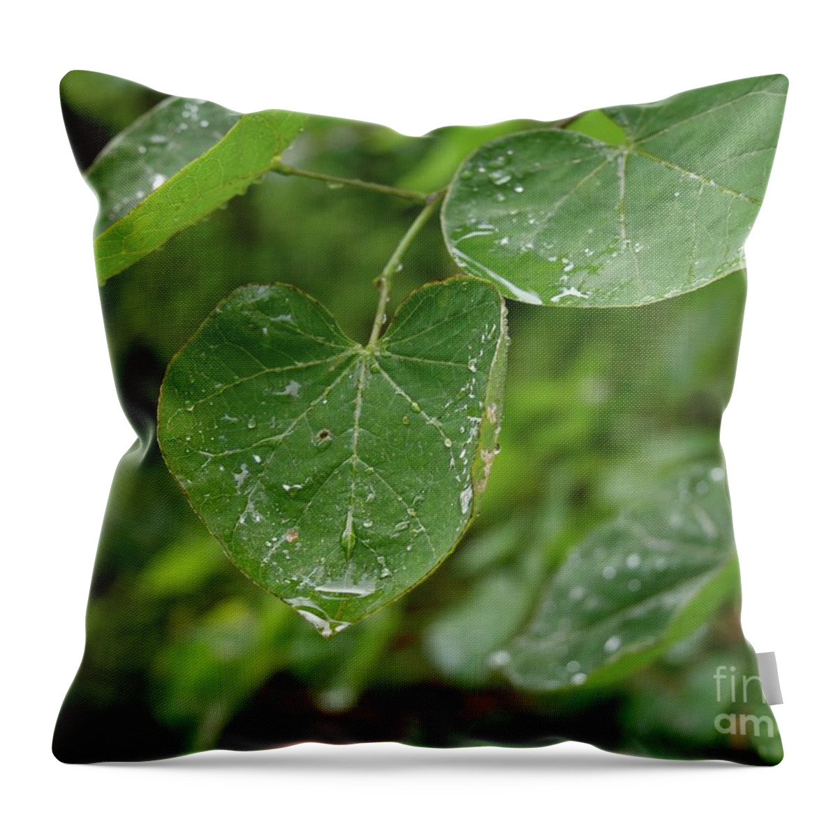 Abstract Throw Pillow featuring the photograph Dripping by On da Raks