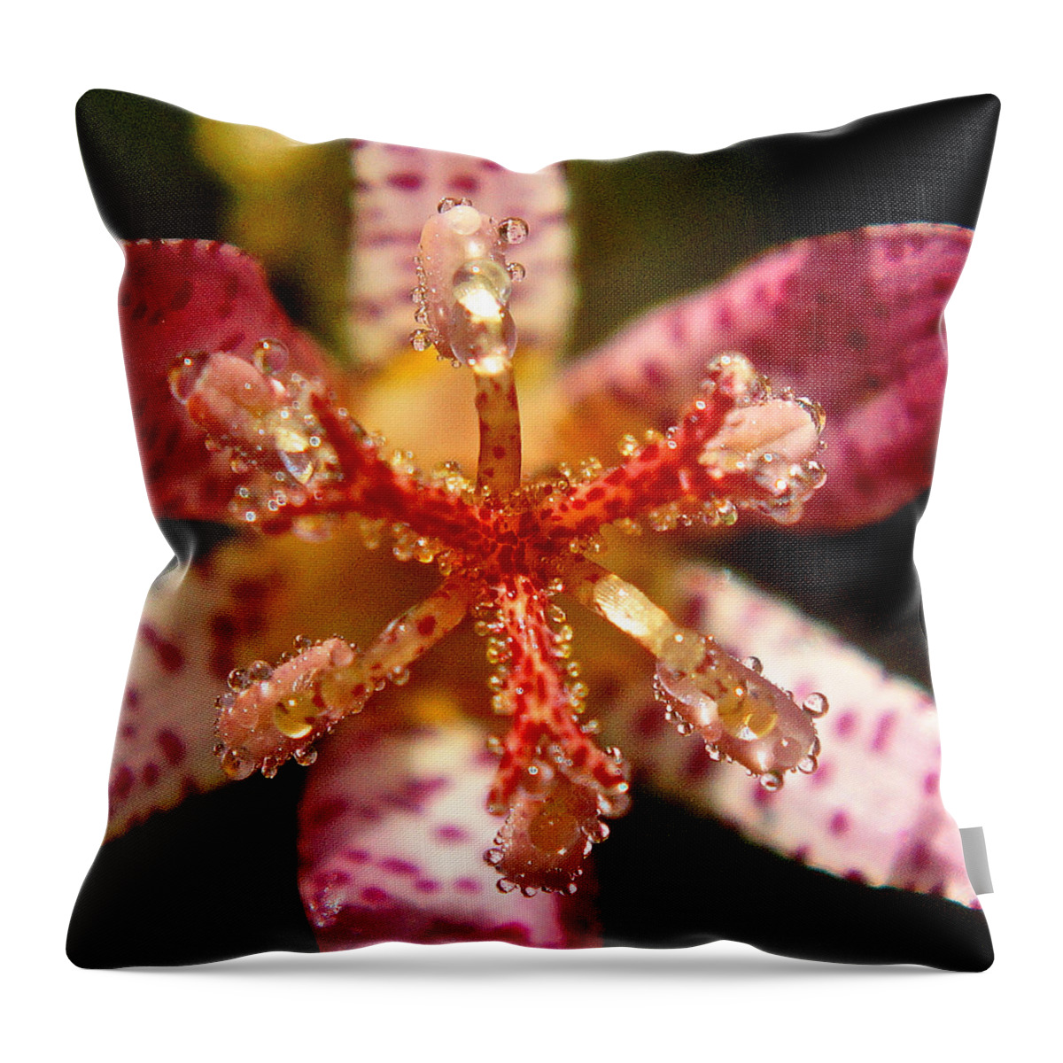 Flower Throw Pillow featuring the photograph Dropmatica by Richard Cummings