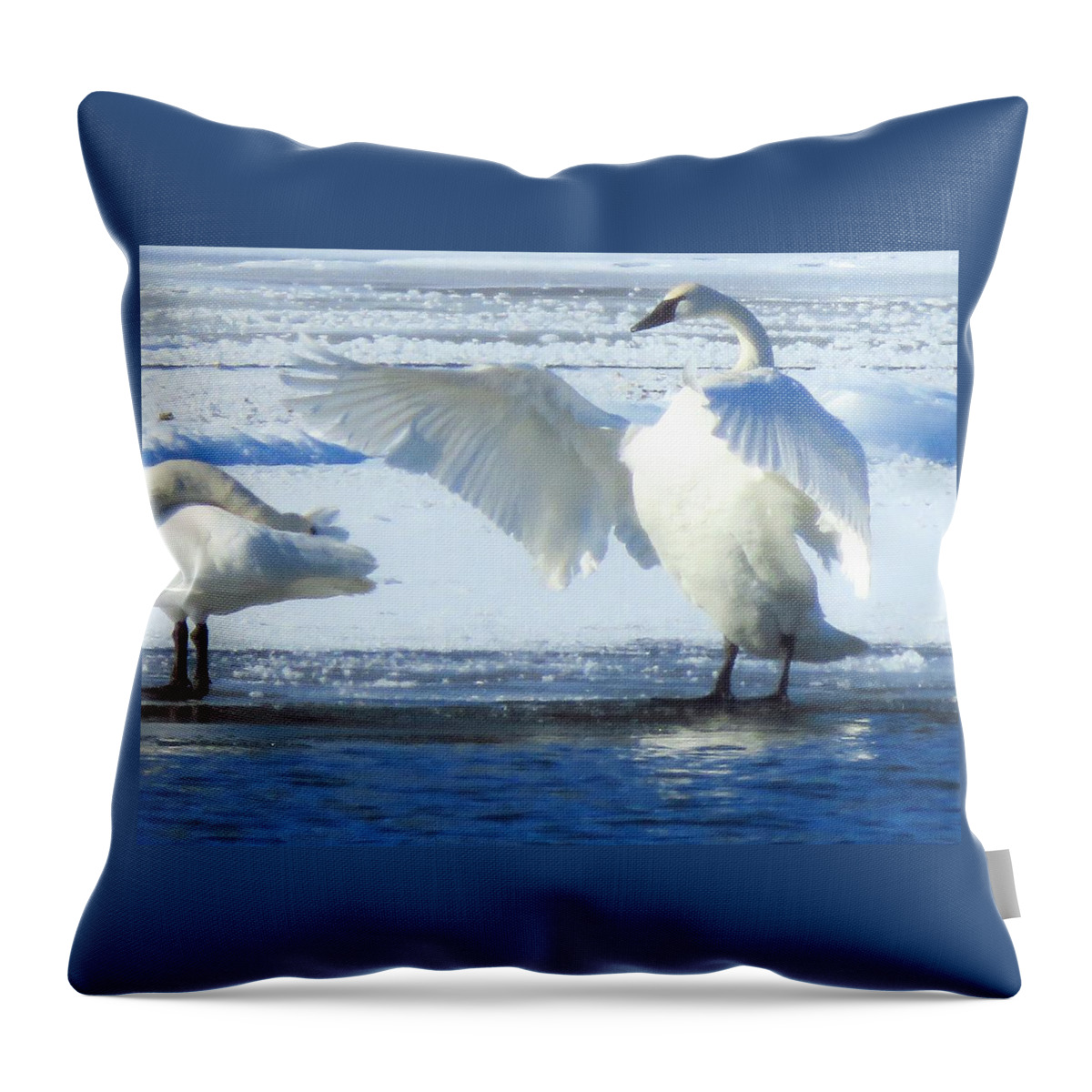 Birds Throw Pillow featuring the photograph Drying Off by Lori Frisch