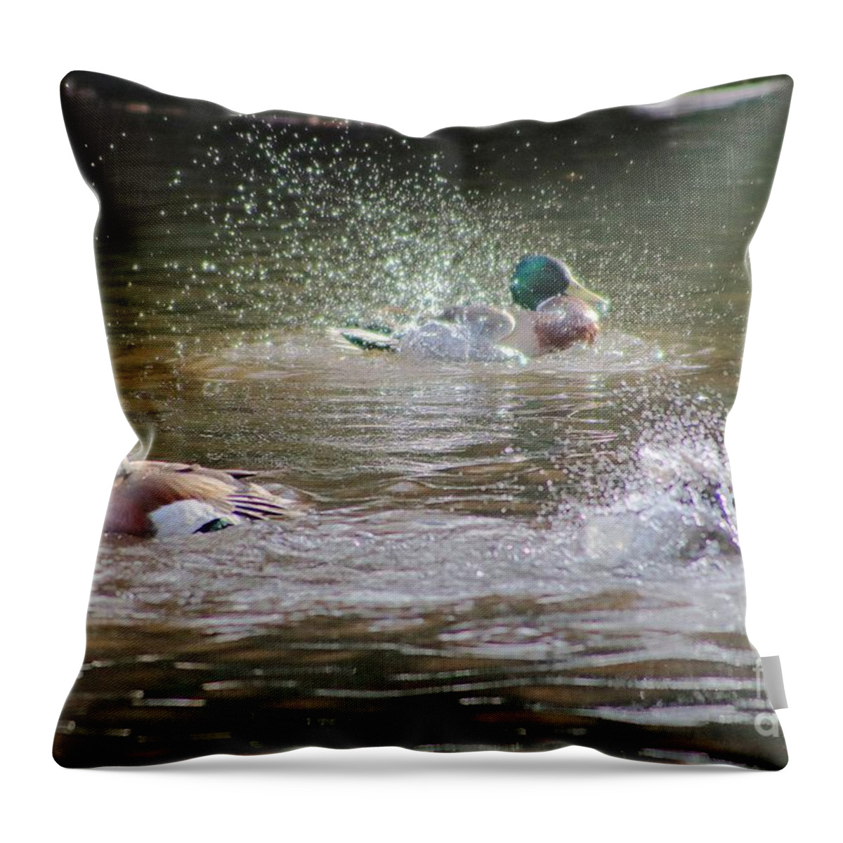 Mallard Throw Pillow featuring the photograph Duck Day Spa by Kimberly Furey