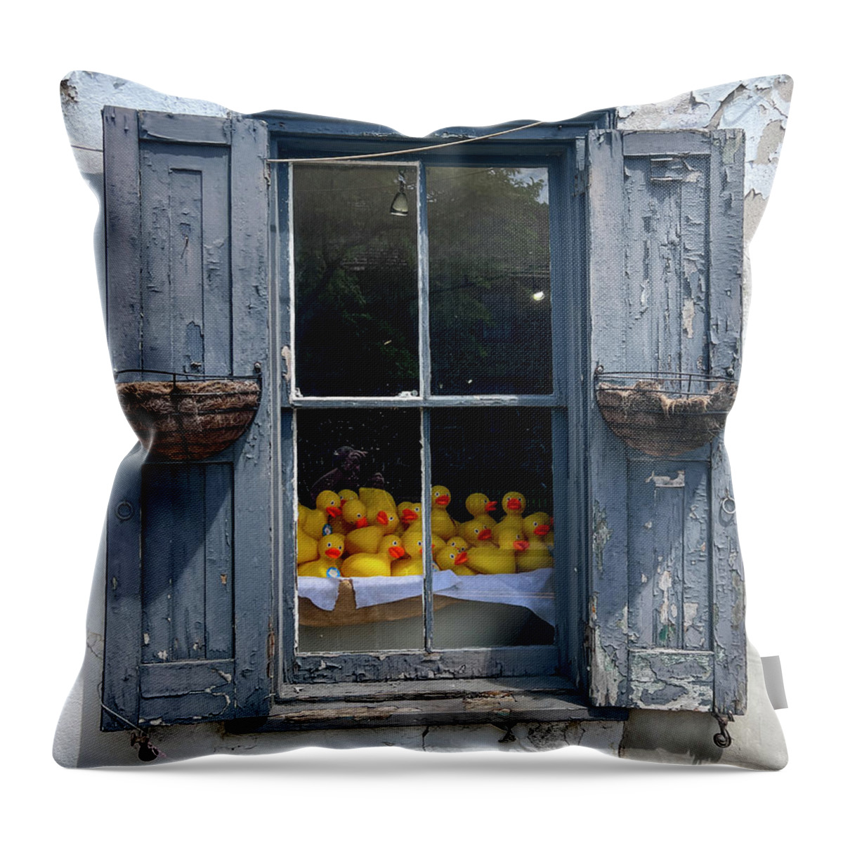 New Hope Throw Pillow featuring the photograph Duck Window by David Letts