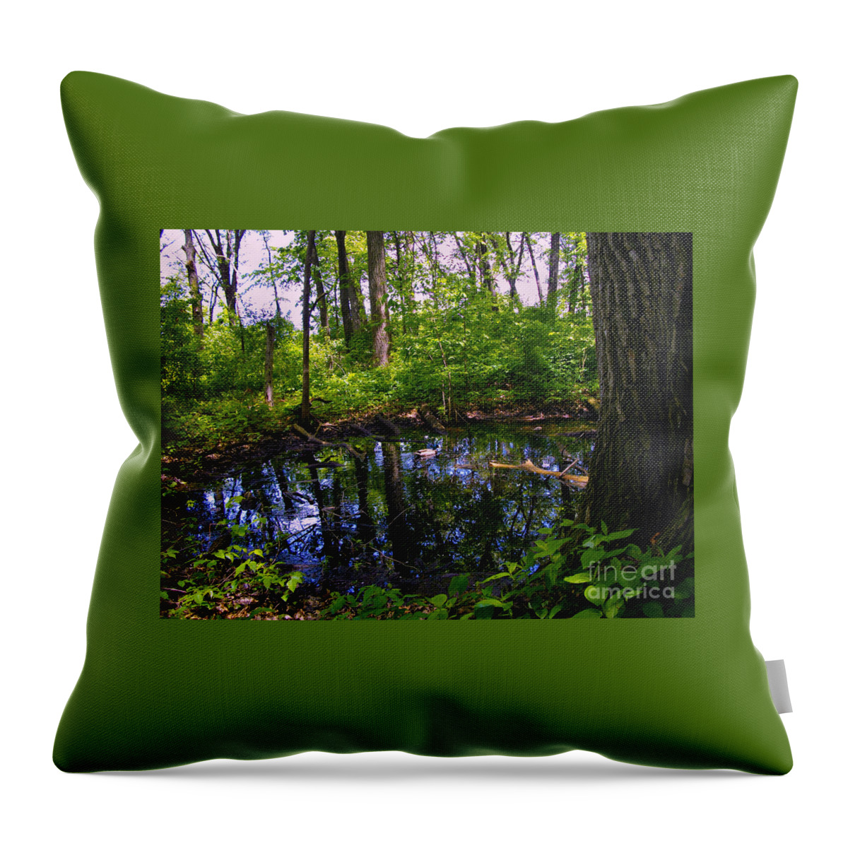 Ducks Throw Pillow featuring the photograph Ducks In The Water by Frank J Casella