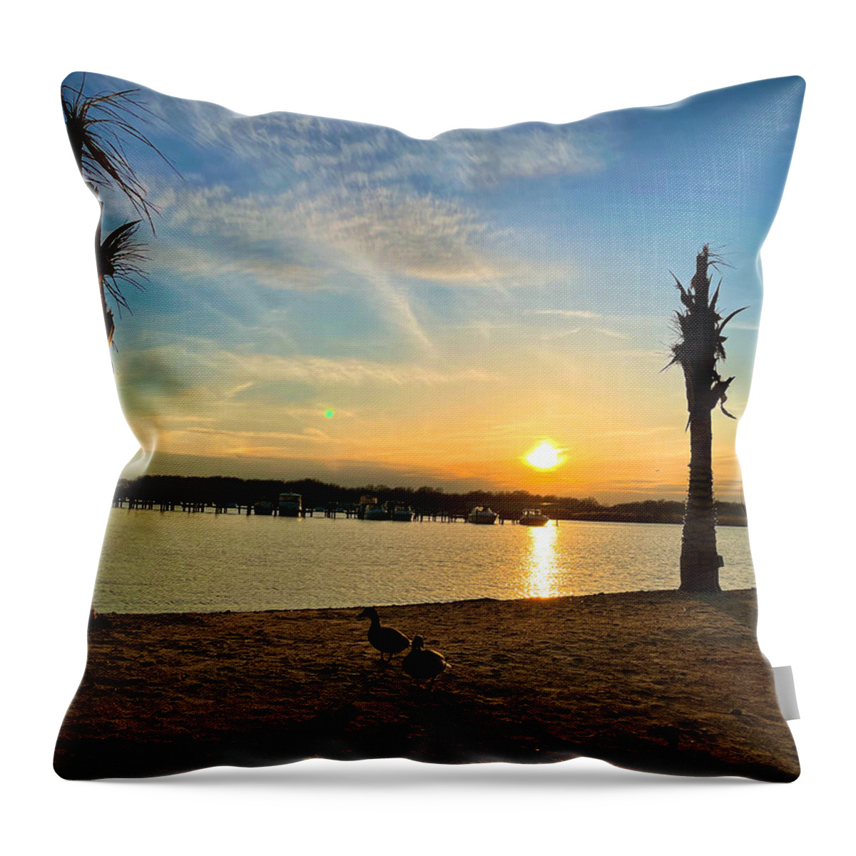 Duck Throw Pillow featuring the photograph Ducks on the Beach by Chris Montcalmo
