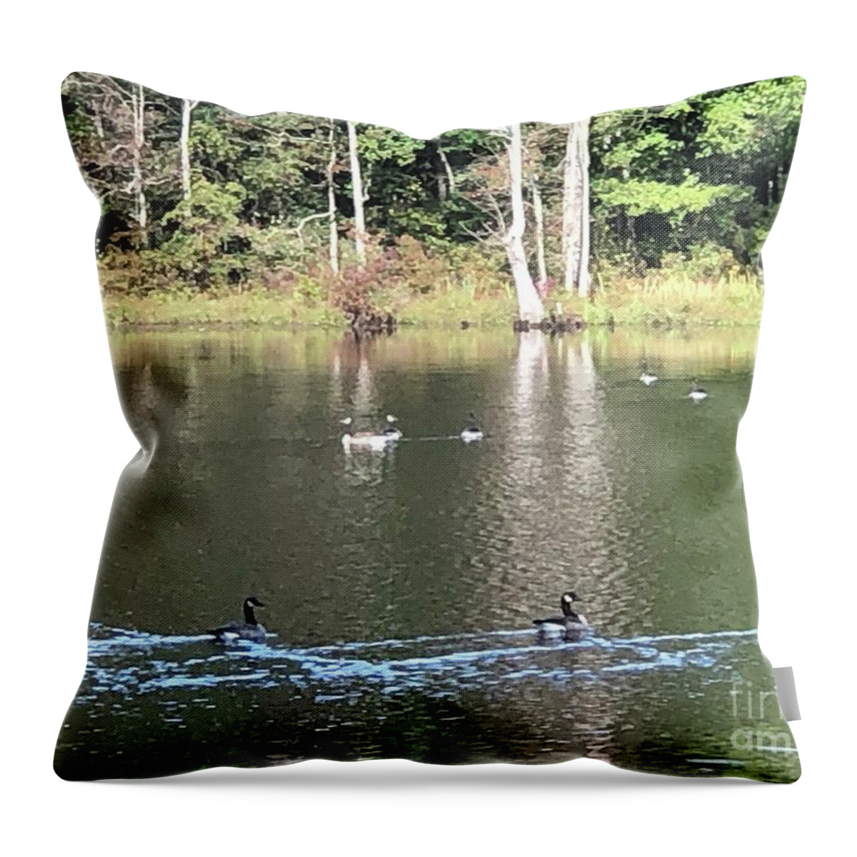 Four H Club Throw Pillow featuring the photograph Ducks on Water by Catherine Wilson
