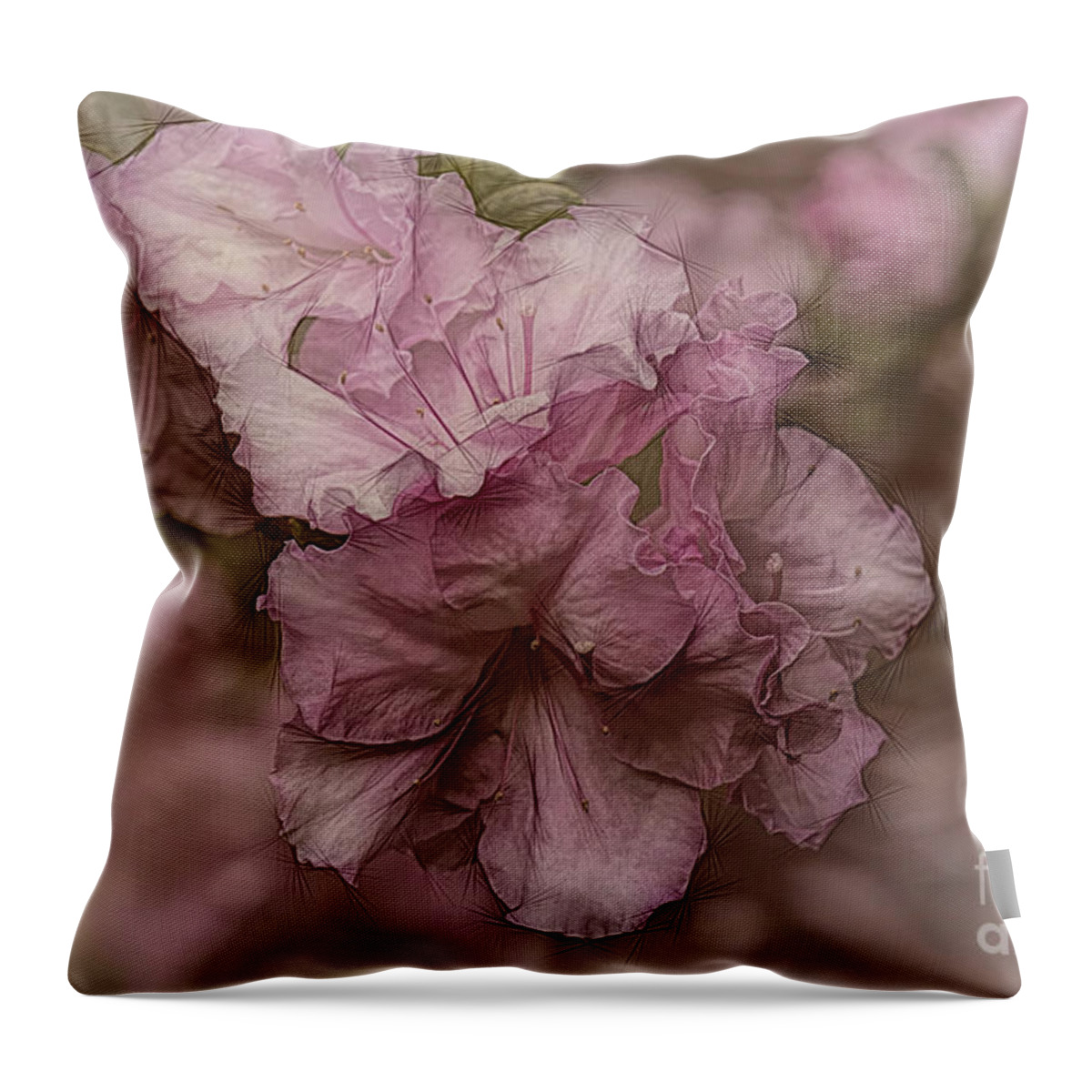 Azalea Throw Pillow featuring the photograph Dusky Pink Azalea by Elaine Teague