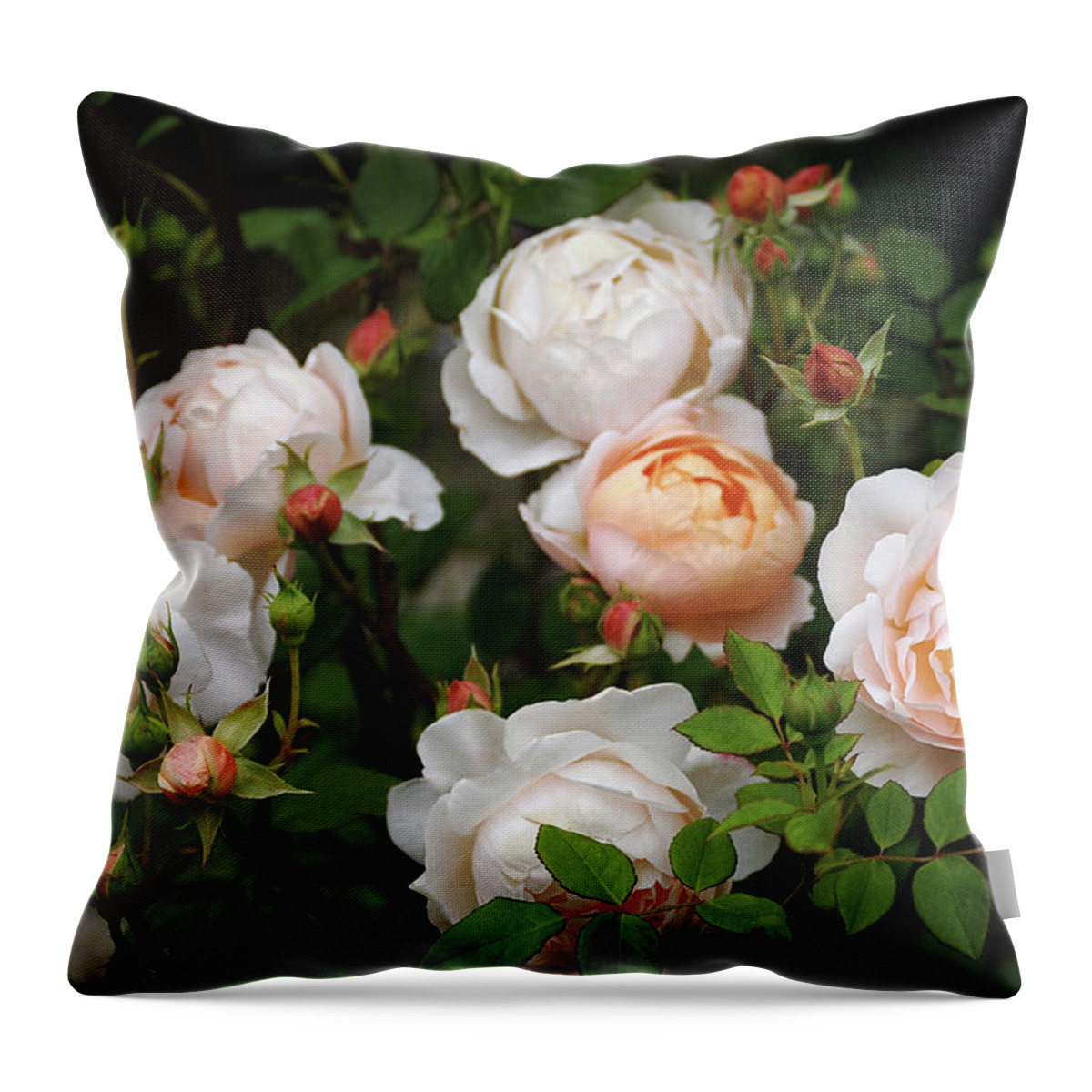 Rose Photography Throw Pillow featuring the photograph Dutch Painting by Brooke Vogelgesang