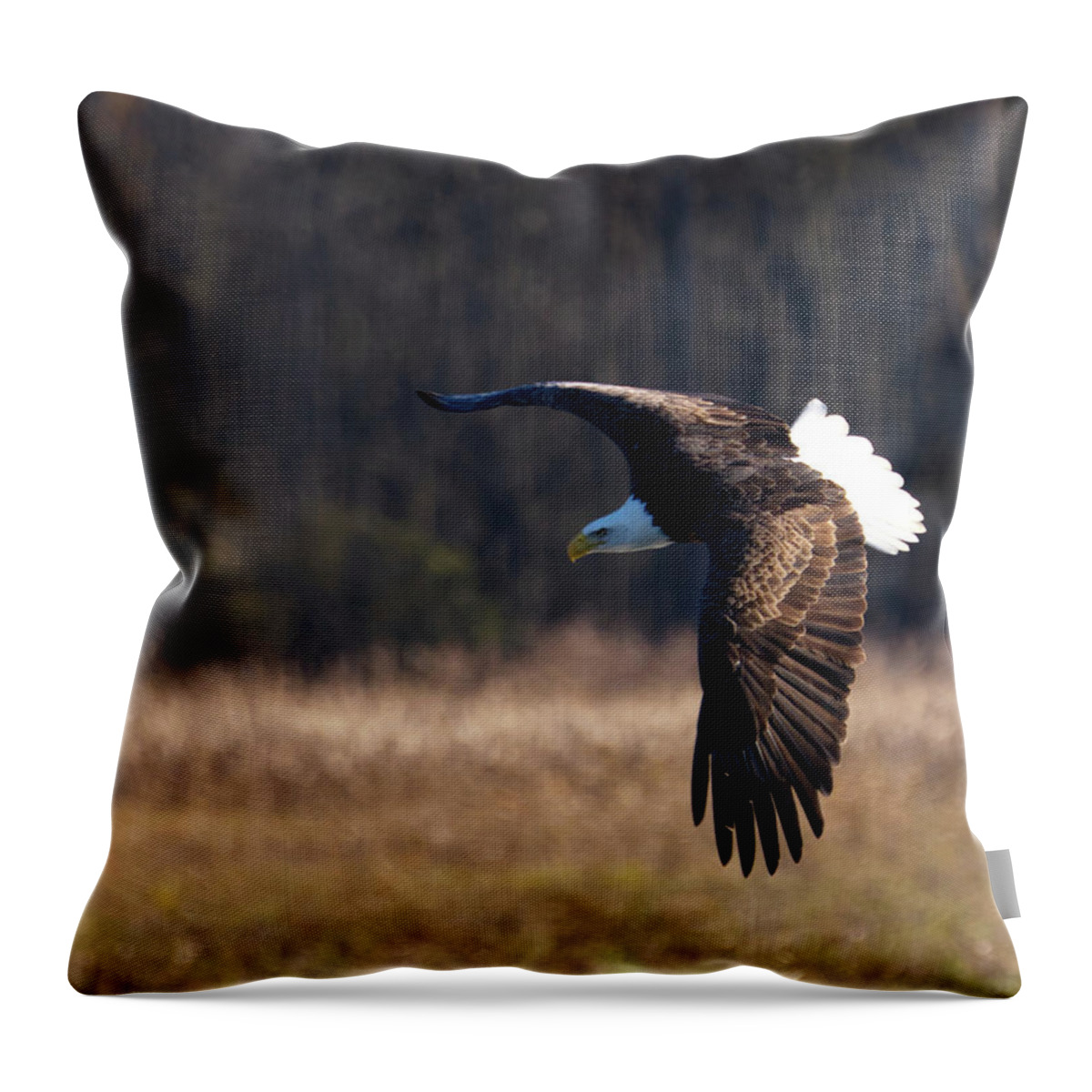 Eagle Throw Pillow featuring the photograph Eagle Flys Over Field by Flinn Hackett
