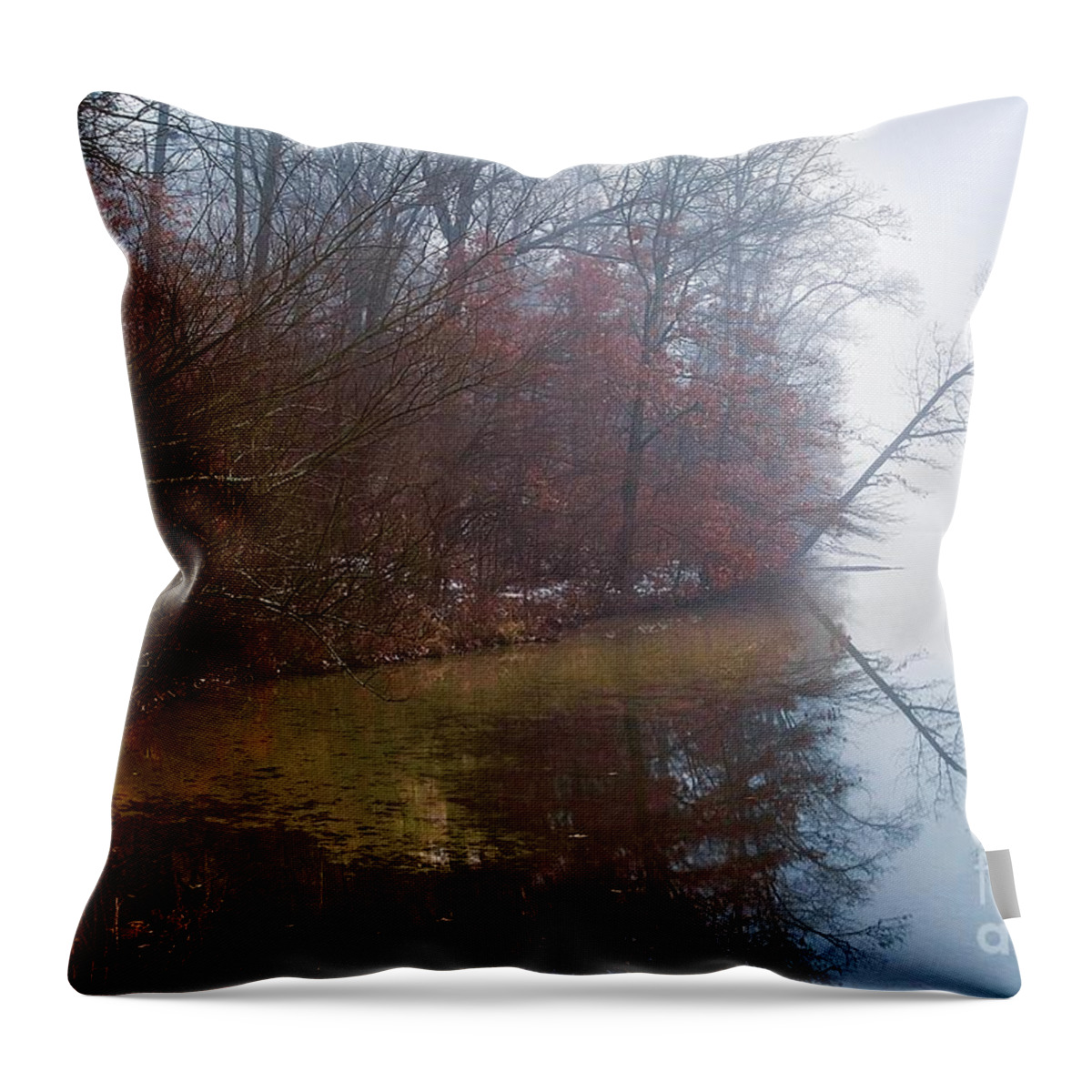 Mist Throw Pillow featuring the photograph Eagle Lake Reflection by Randy Pollard