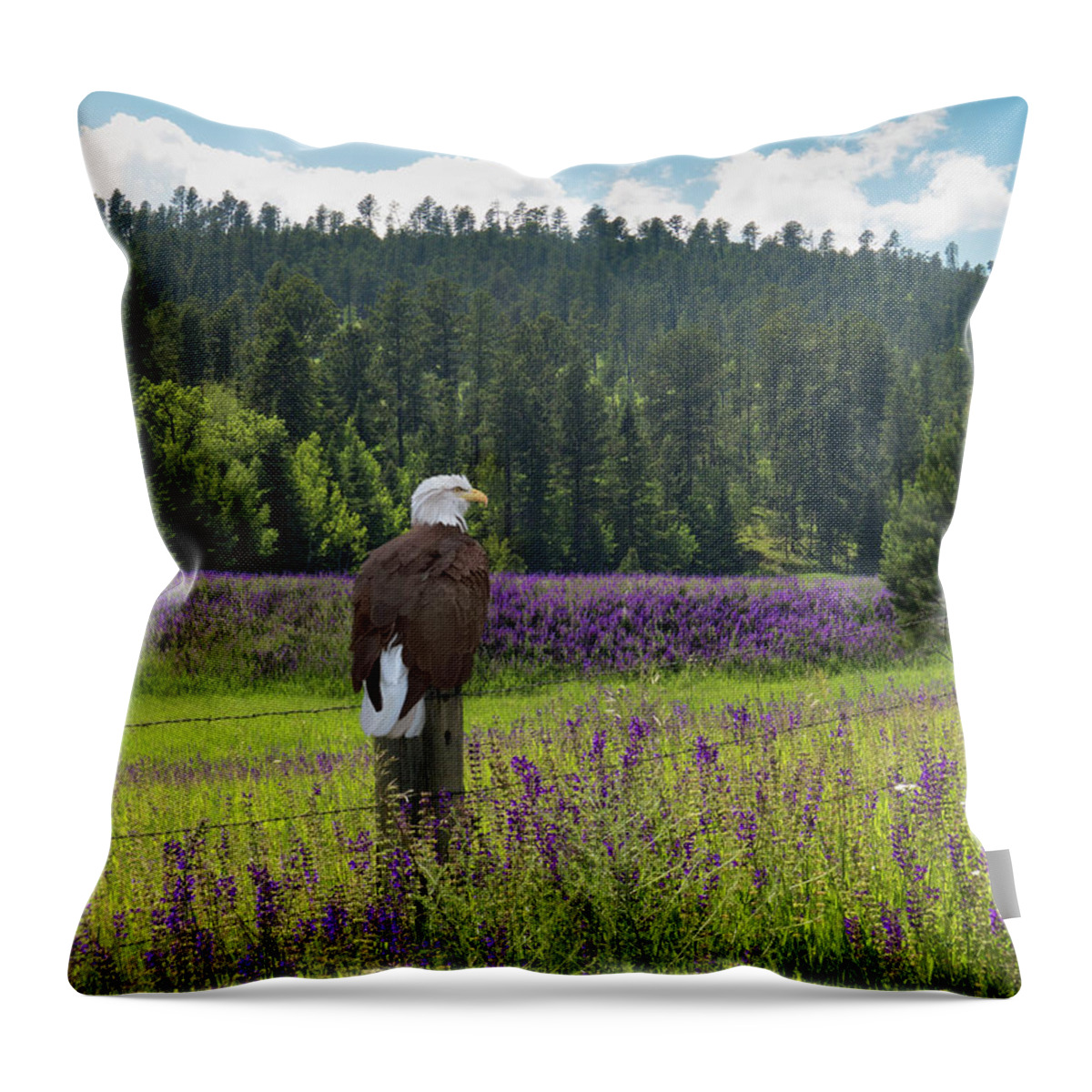 Eagle Throw Pillow featuring the photograph Eagle on Fence Post by Patti Deters