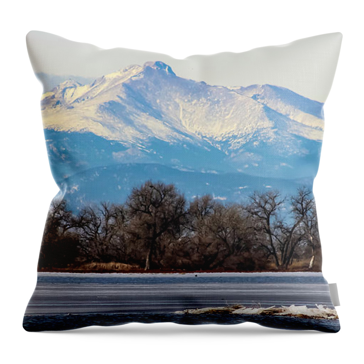 Eagles Throw Pillow featuring the photograph Eagle on the Ice by Shirley Dutchkowski