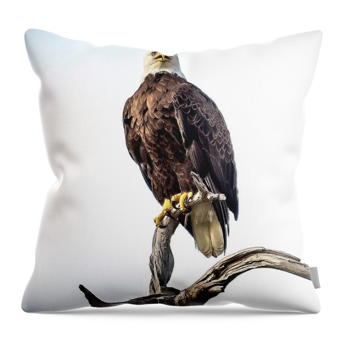 Eagle Throw Pillow featuring the photograph Eagle One by Pete Rems