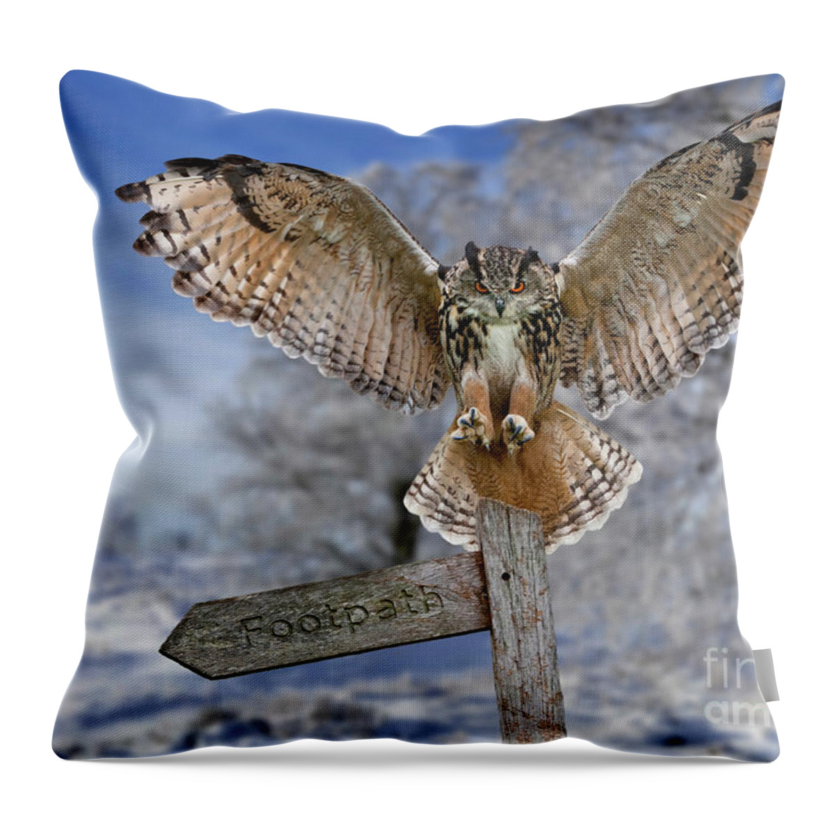 Eurasian Eagle-owl Throw Pillow featuring the photograph Eagle Owl in the Snow in Winter by Arterra Picture Library