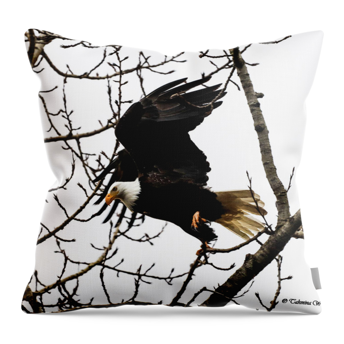 Bald Eagle Throw Pillow featuring the photograph Eagle Taking Off by Tahmina Watson