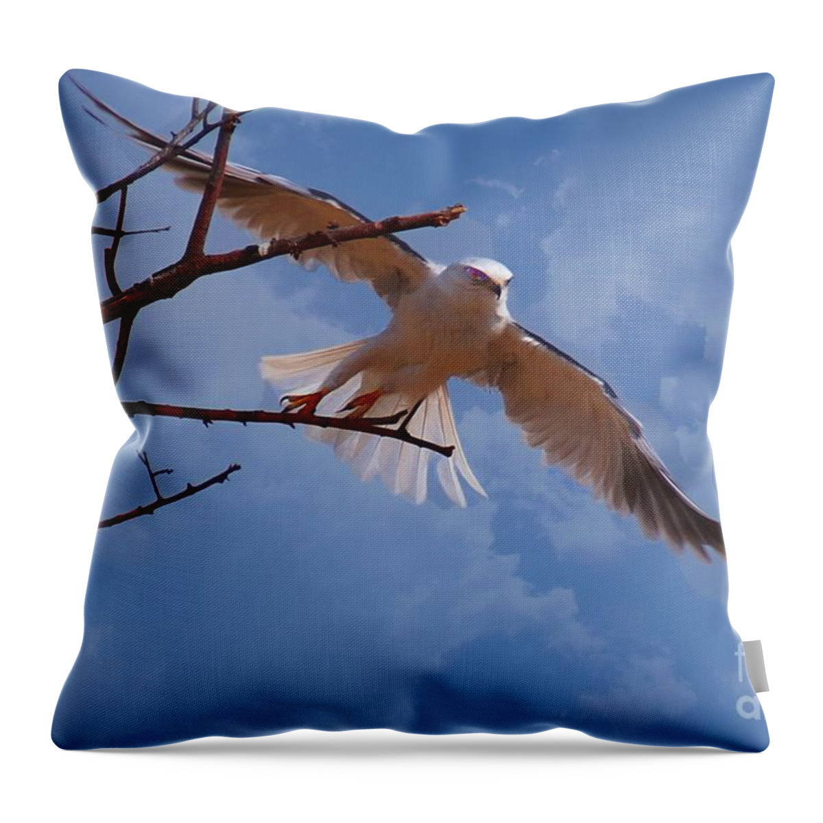 Eagle Throw Pillow featuring the photograph Eagleliscious by John Kolenberg