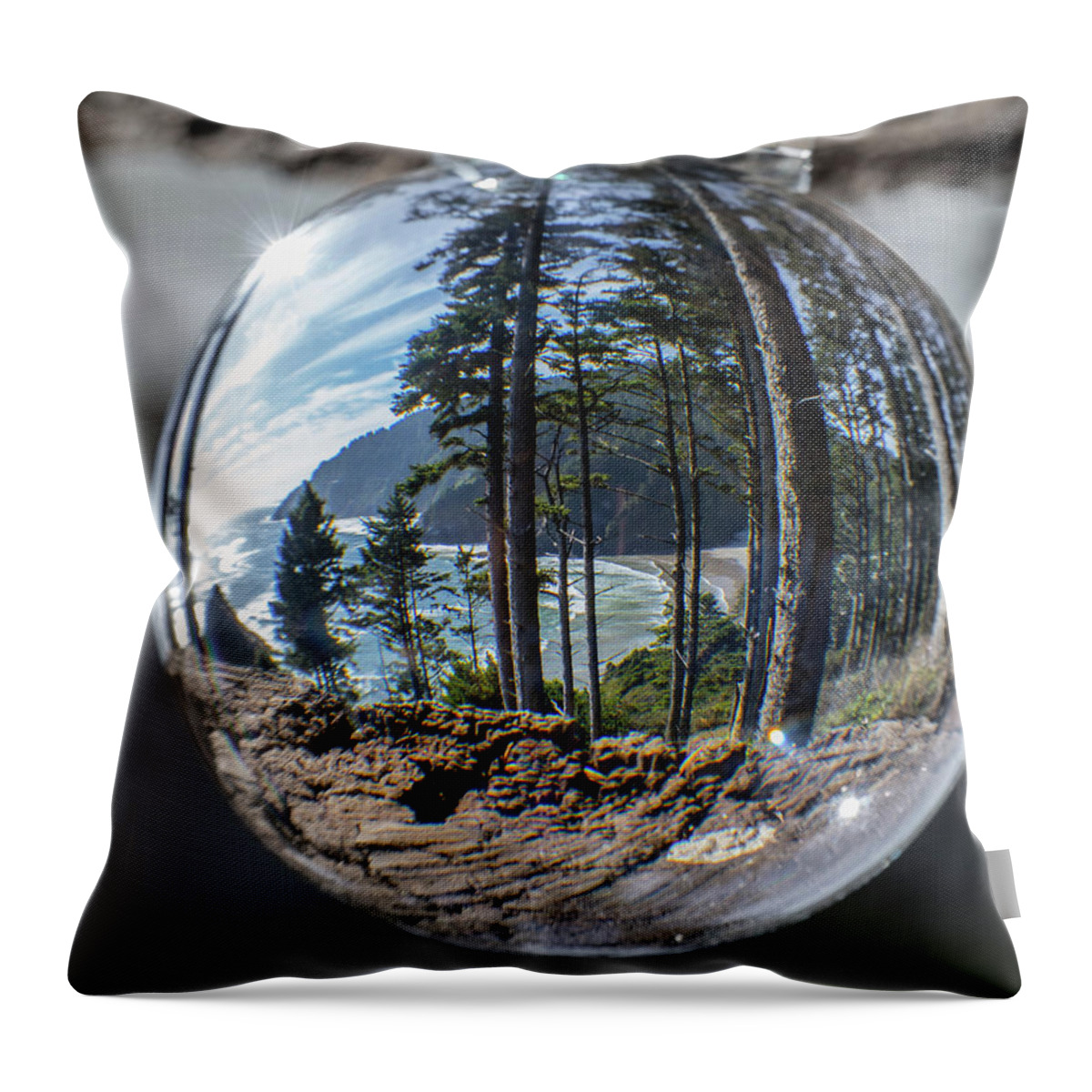 2018 Throw Pillow featuring the photograph Eagle's eye view by Gerri Bigler