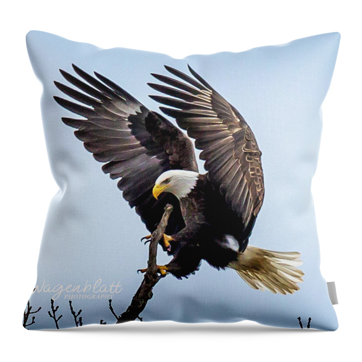 Eagle Throw Pillow featuring the photograph Eagles Perch by David Wagenblatt