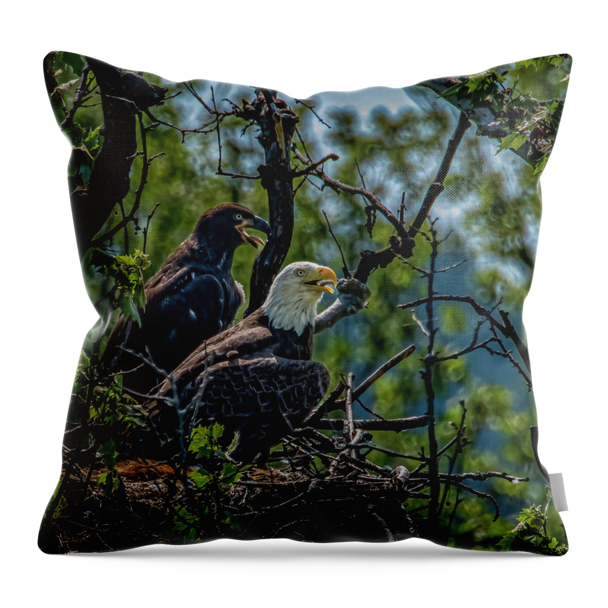 Eaglet Throw Pillow featuring the photograph Eaglet After by Brian Shoemaker