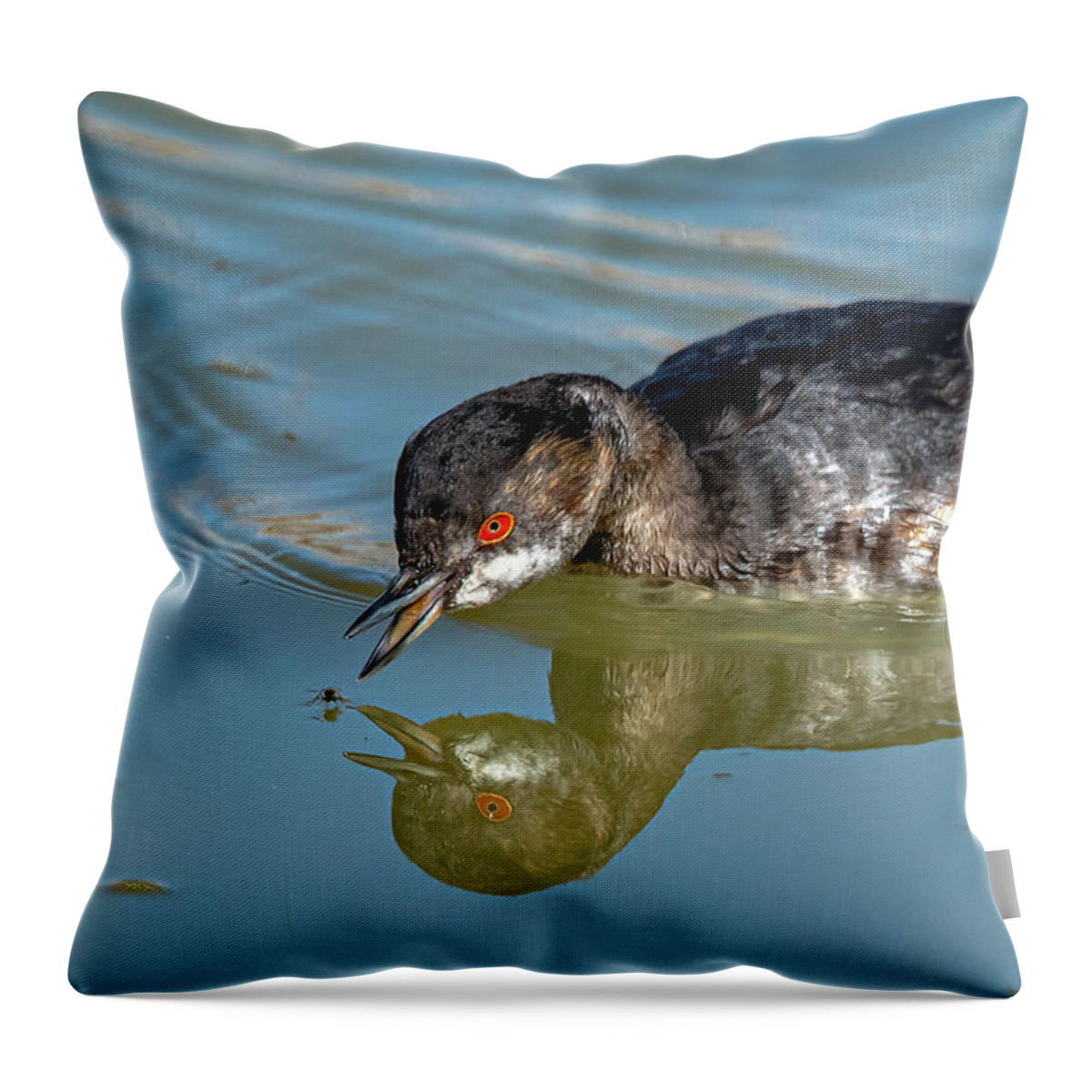 Eared Grebe Throw Pillow featuring the photograph Eared Grebe by Rick Mosher