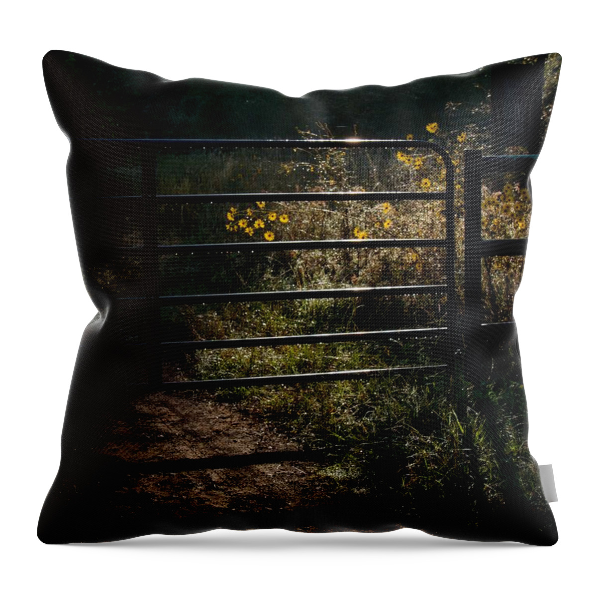 Caddo Throw Pillow featuring the photograph Early Light and Dew by Buck Buchanan