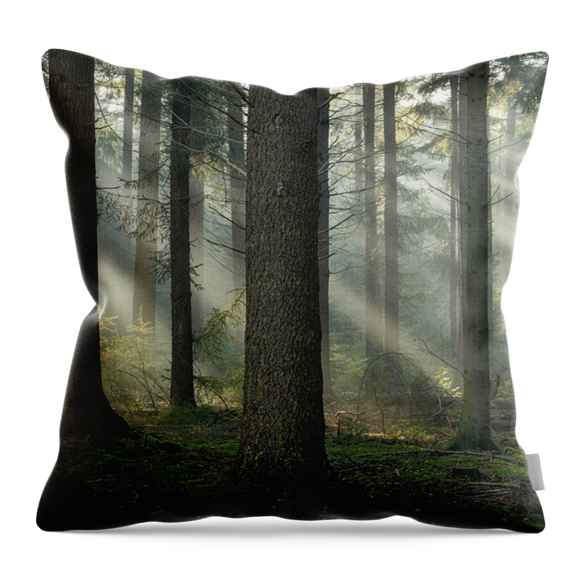 Autumn Throw Pillow featuring the photograph Early morning light rays and fog between the trees by Anges Van der Logt