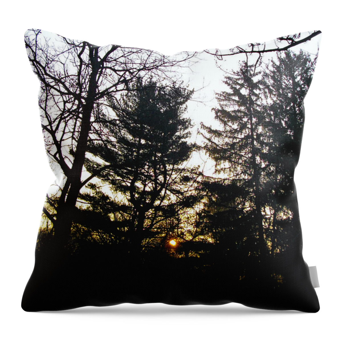 Landscape Photography Throw Pillow featuring the photograph Early Spring Sunrise Fog by Frank J Casella