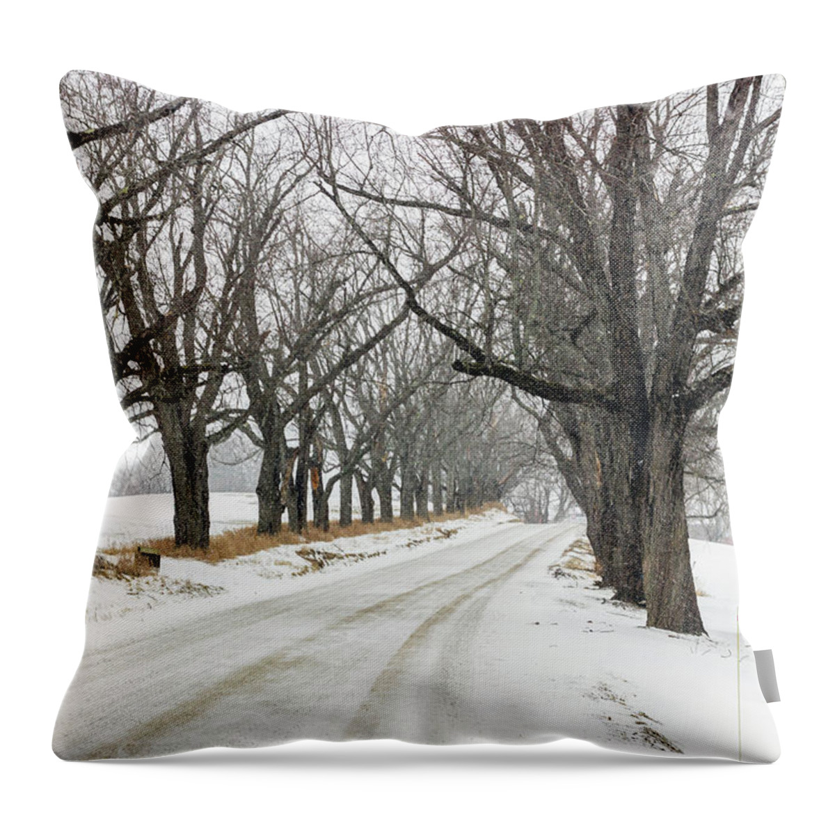 Darling Hill Road Throw Pillow featuring the photograph Early Winter on Darling Hill Road - Lyndonvillle, Vermont by John Rowe