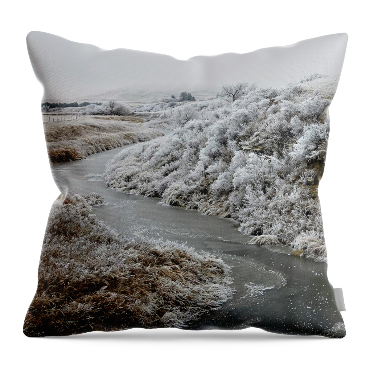 North Dakota Throw Pillow featuring the photograph East On Frosty Green River from 109 by Amanda R Wright