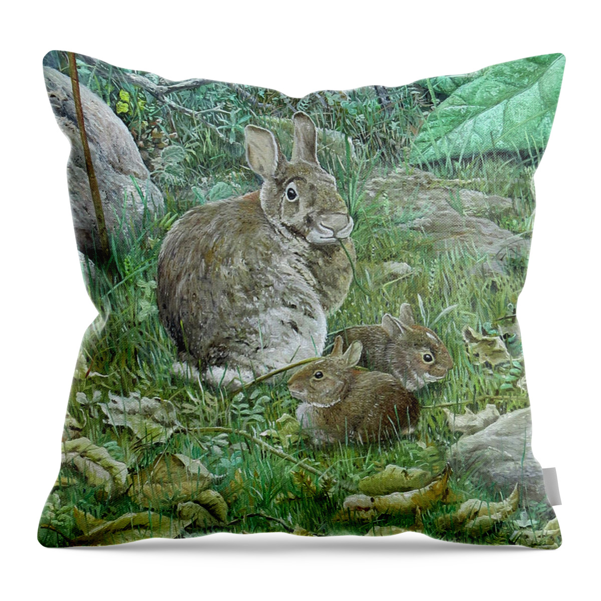 Eastern Cottontail Throw Pillow featuring the painting Eastern Cottontails by Barry Kent MacKay
