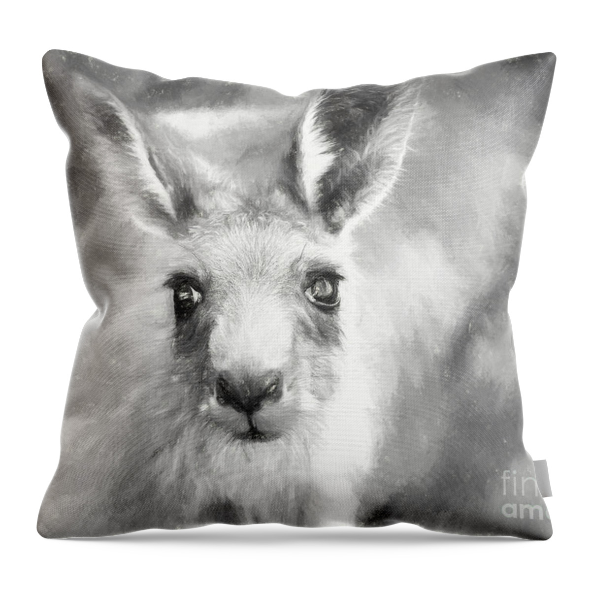 Eastern Grey Kangaroo Throw Pillow featuring the photograph Eastern grey kangaroo by Sheila Smart Fine Art Photography