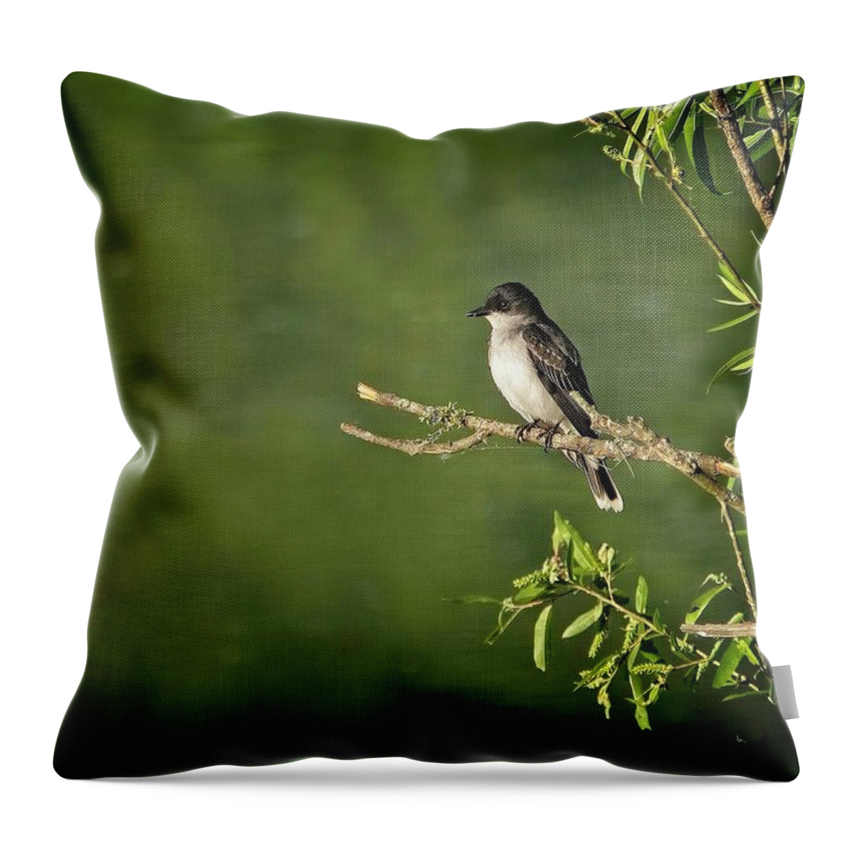Wildlife Throw Pillow featuring the photograph Eastern Kingbird by John Benedict