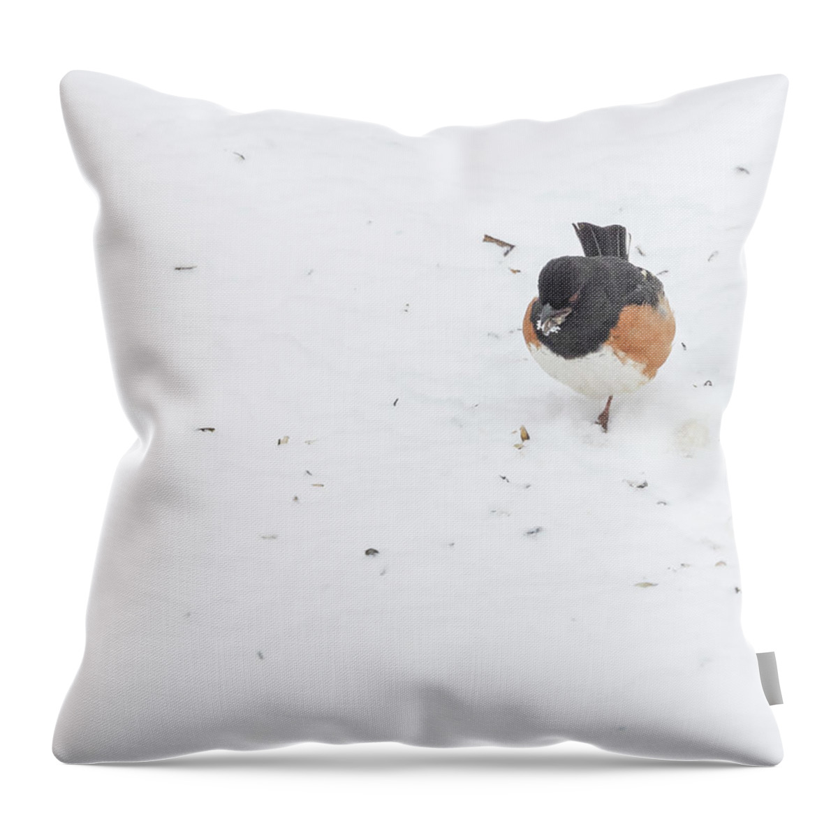 Eastern Towhee Throw Pillow featuring the photograph Eastern Towhee in the Snow by Deborah Penland