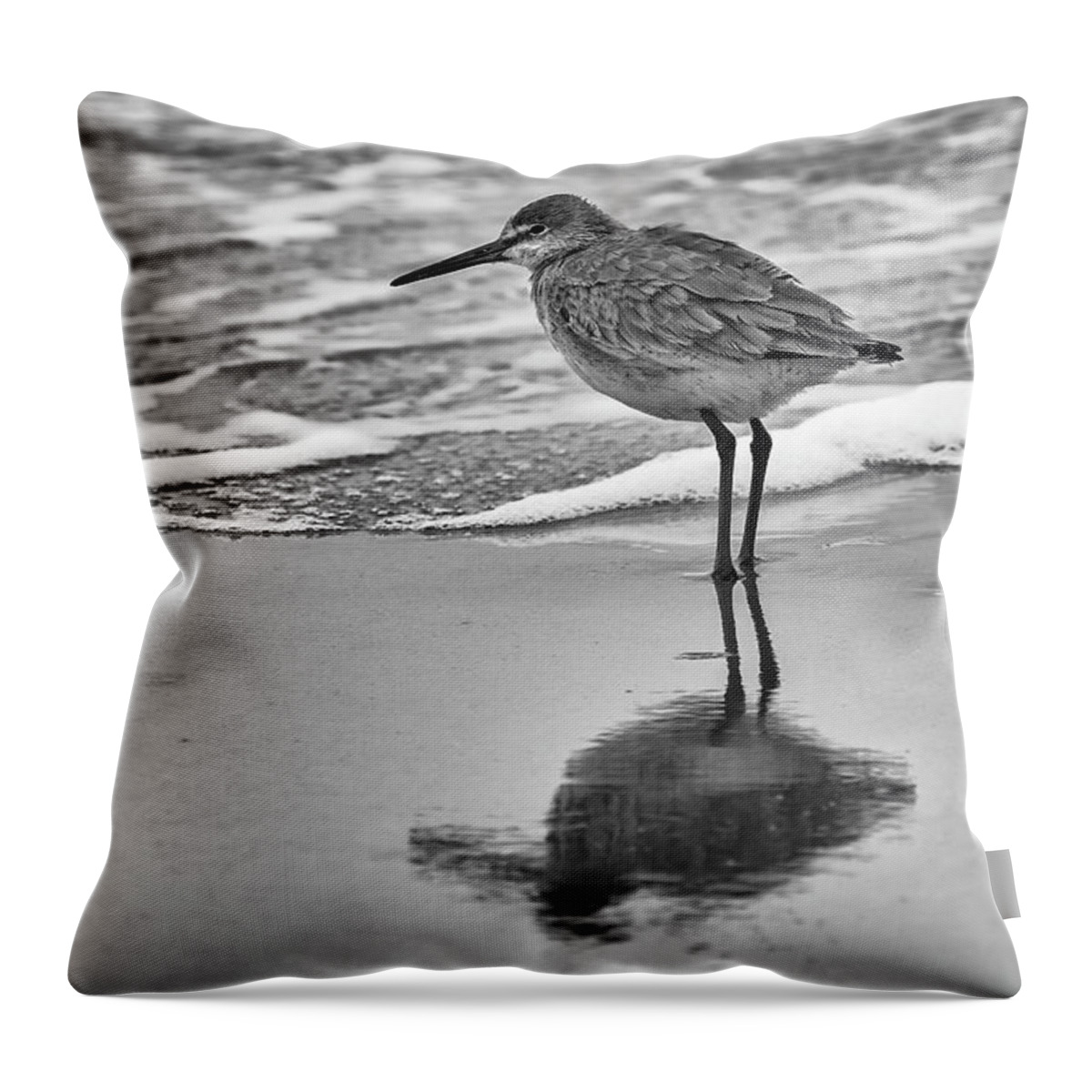 Bird Throw Pillow featuring the photograph Eastern Willet Winter Reflection by Fon Denton