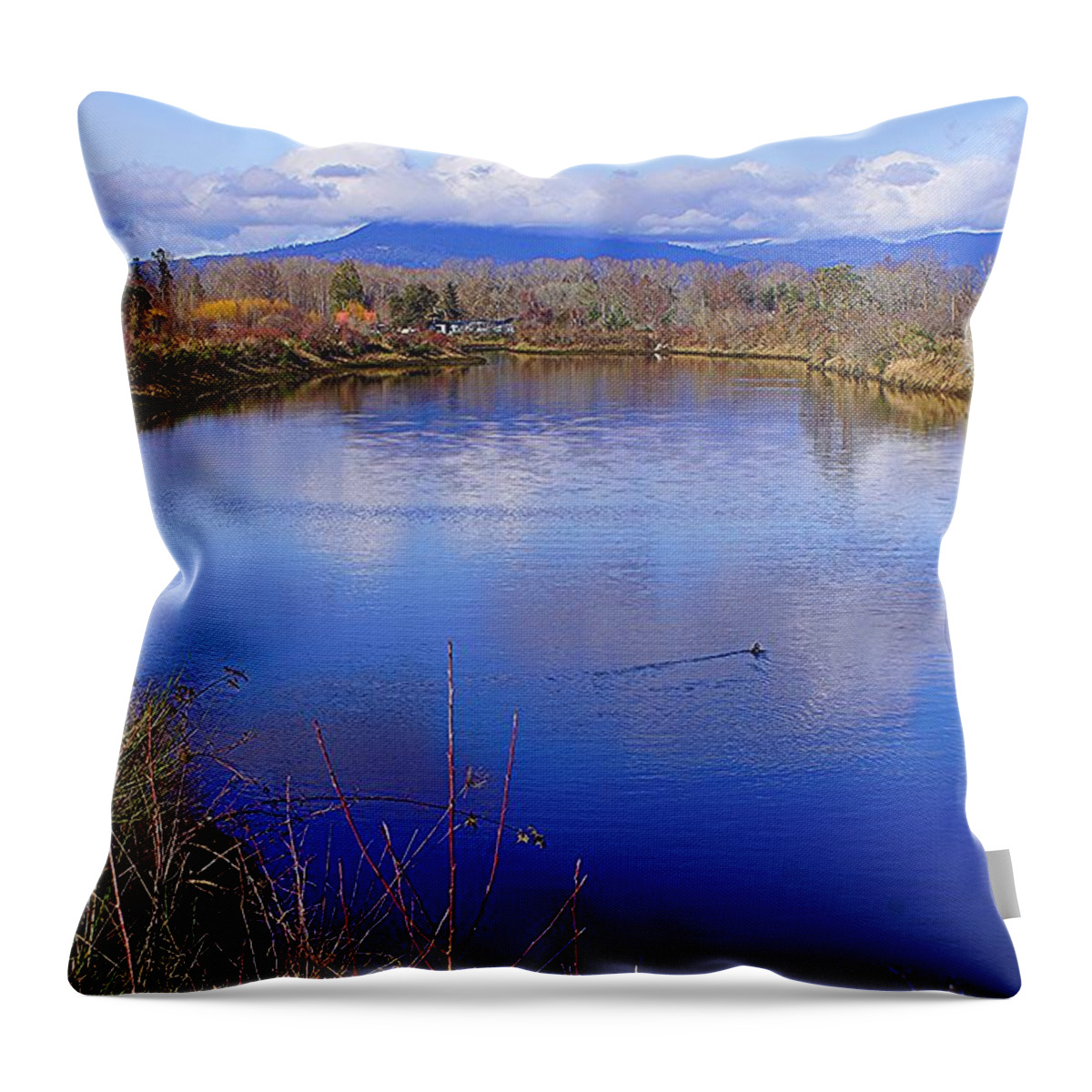 Winter Sunlight Throw Pillow featuring the photograph Ebb Tide by Fred Bailey