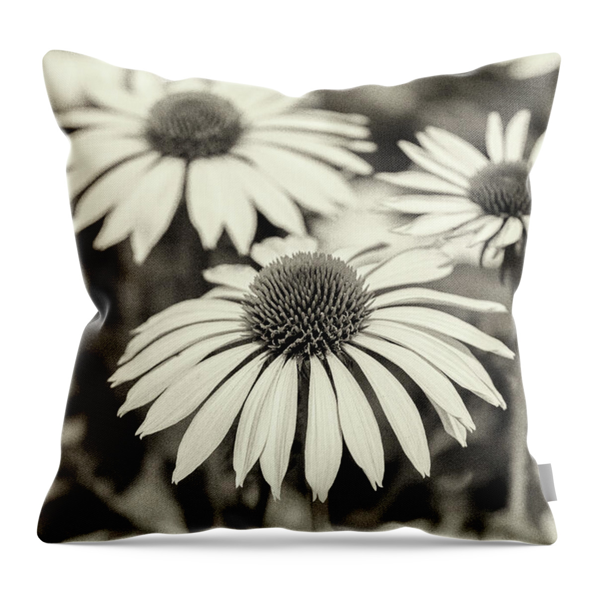 Black And White Flowers Throw Pillow featuring the photograph Echinacea Black And White by Tanya C Smith