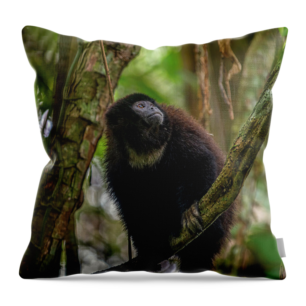 Alouatta Throw Pillow featuring the photograph Ecuadorian mantled howler monkey by Henri Leduc