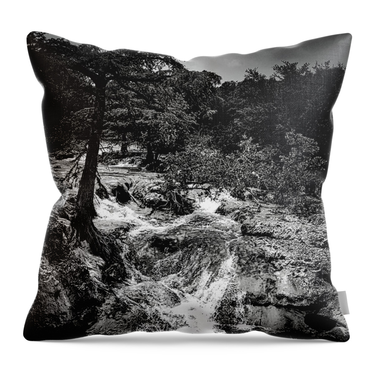 Tree Throw Pillow featuring the photograph Edge Falls Boerne, TX BW by Rene Vasquez