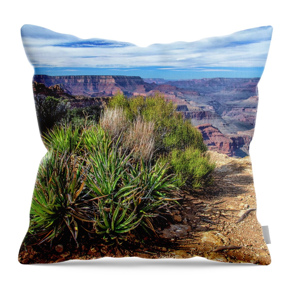 America Throw Pillow featuring the photograph Edge of the Abyss by Andy Crawford