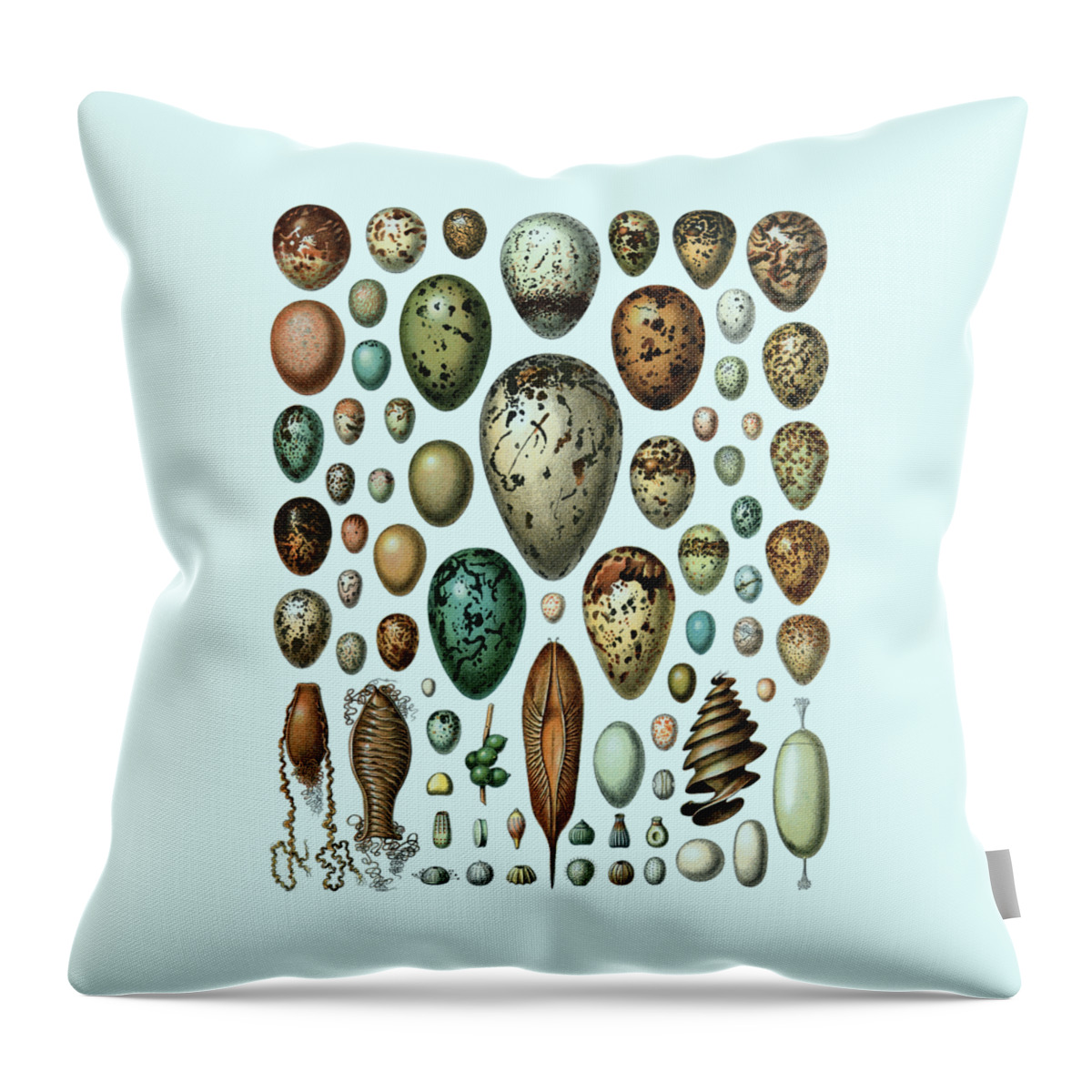 Egg Throw Pillow featuring the digital art Eggs by Madame Memento