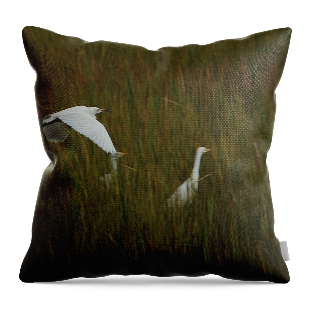 Georgia Throw Pillow featuring the photograph Egrets Fish in the Marshes of Glynn by John Simmons