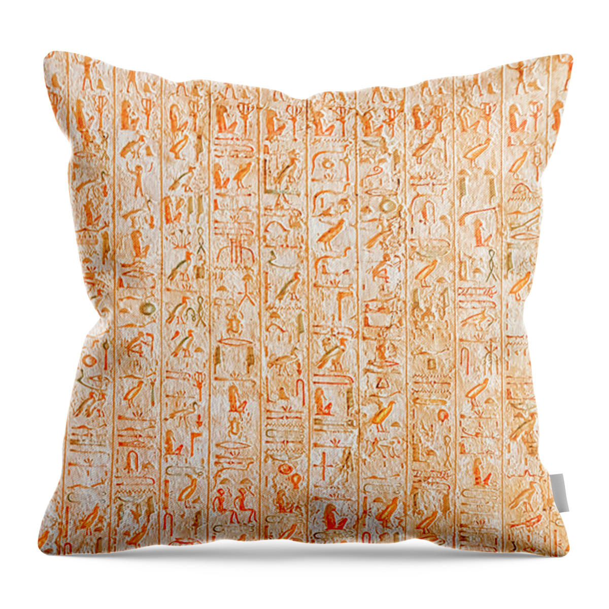 Africa Throw Pillow featuring the photograph Egyptian hieroglyphs by Manjik Pictures