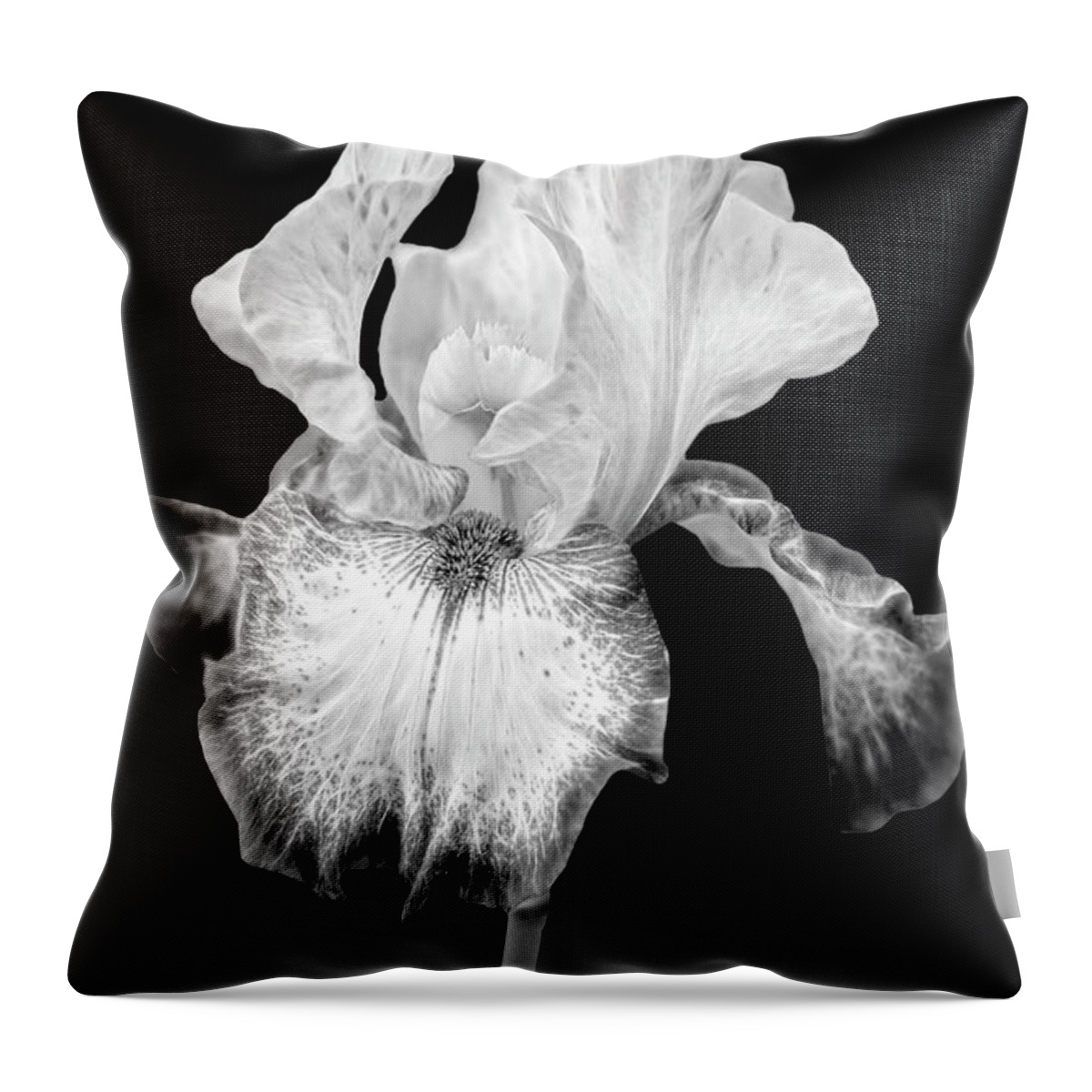 Iris Throw Pillow featuring the photograph Electric Iris FlowerBW by Susan Candelario