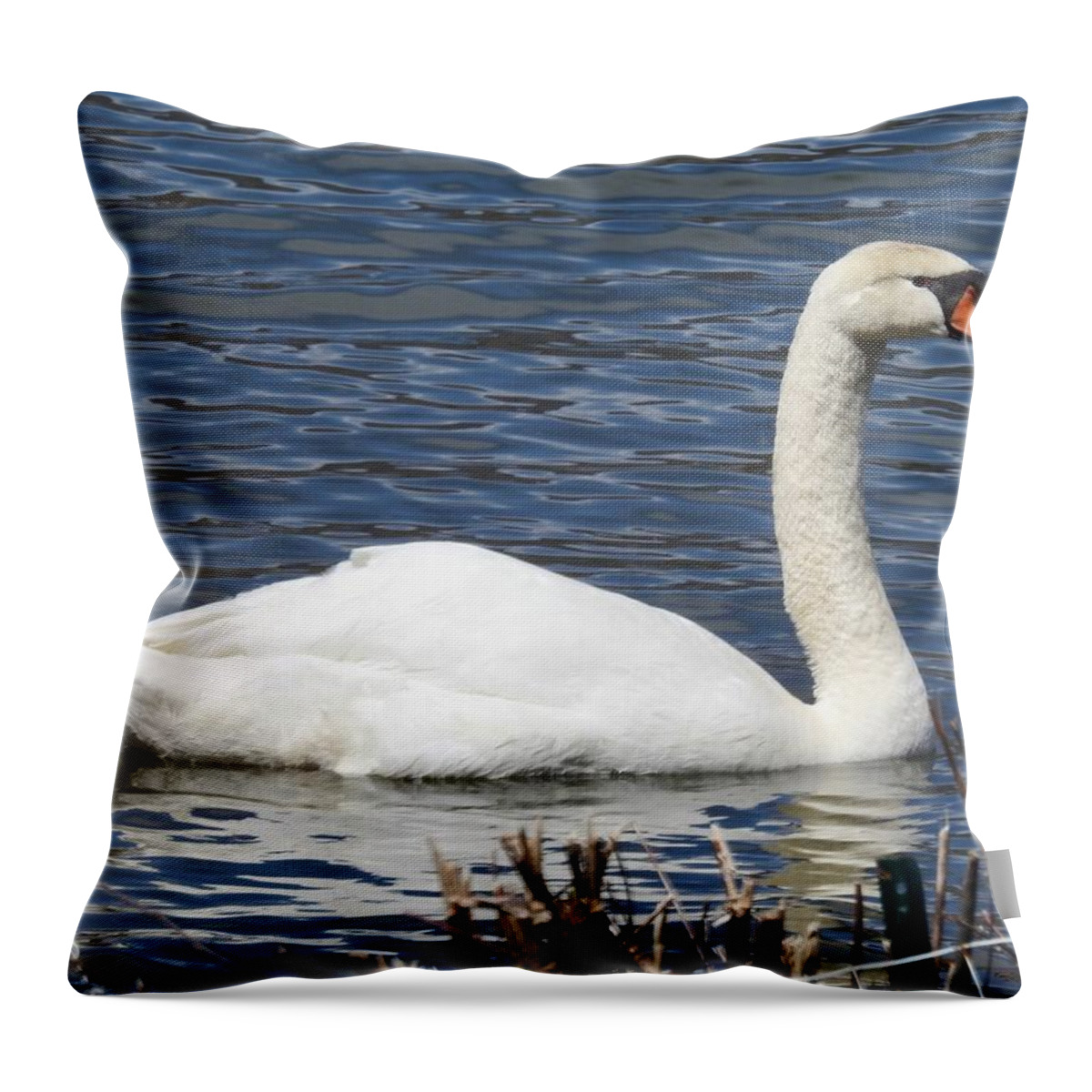 Elegant Swan Throw Pillow featuring the photograph Elegant Swan by Kathy Chism