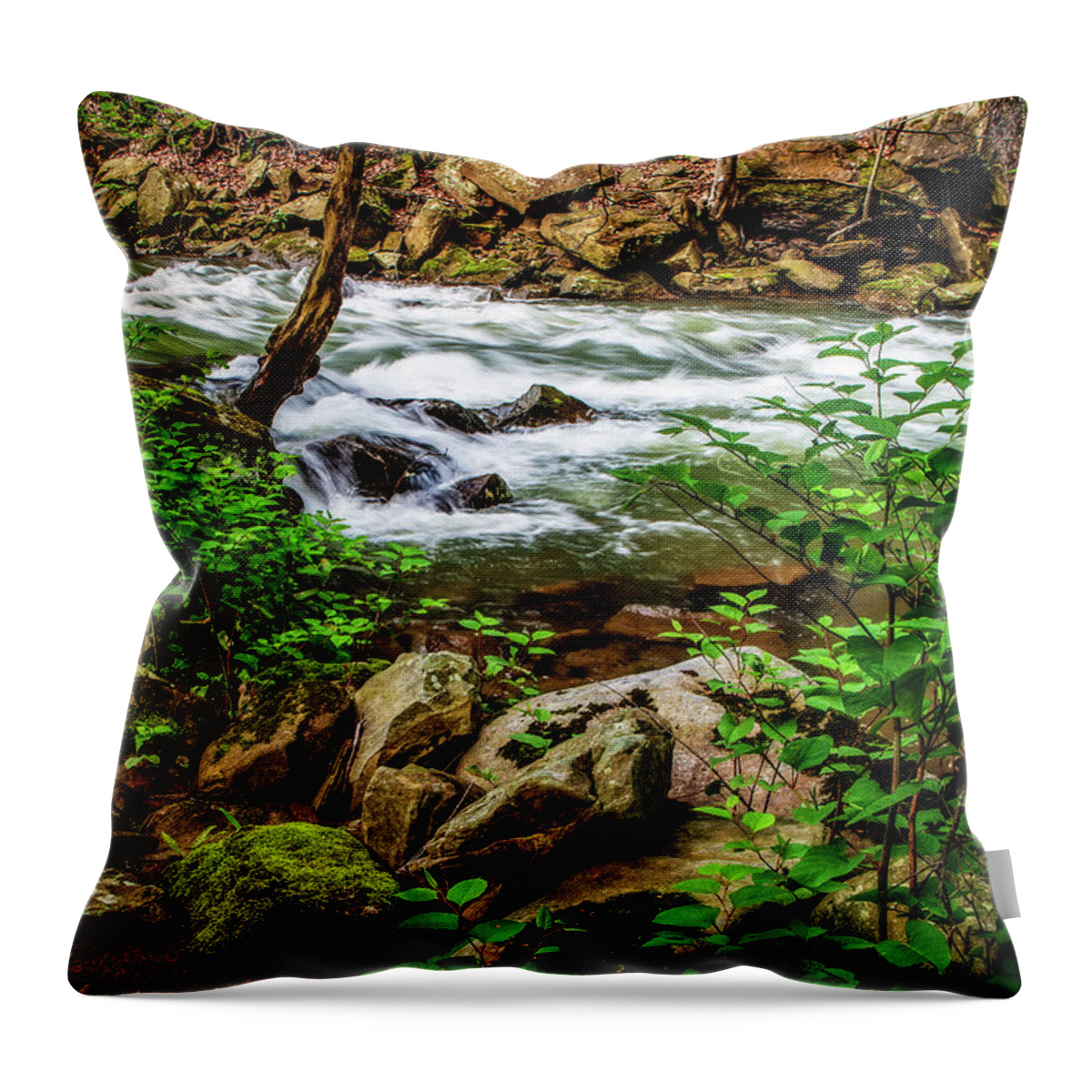 Portrait Orientation Throw Pillow featuring the photograph Elements of Nature by Lisa Lambert-Shank