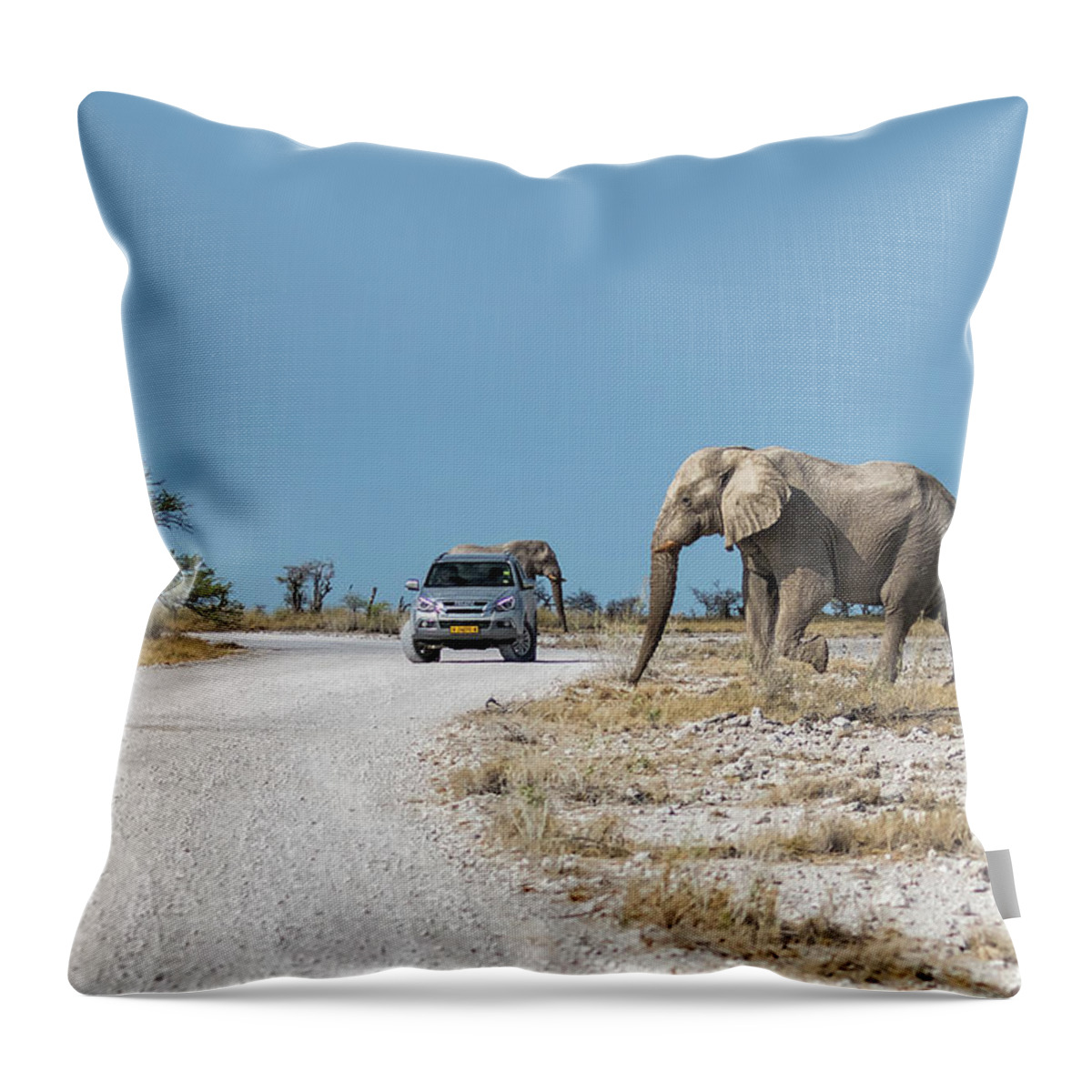 African Elephants Throw Pillow featuring the photograph Elephant Crossing by Belinda Greb