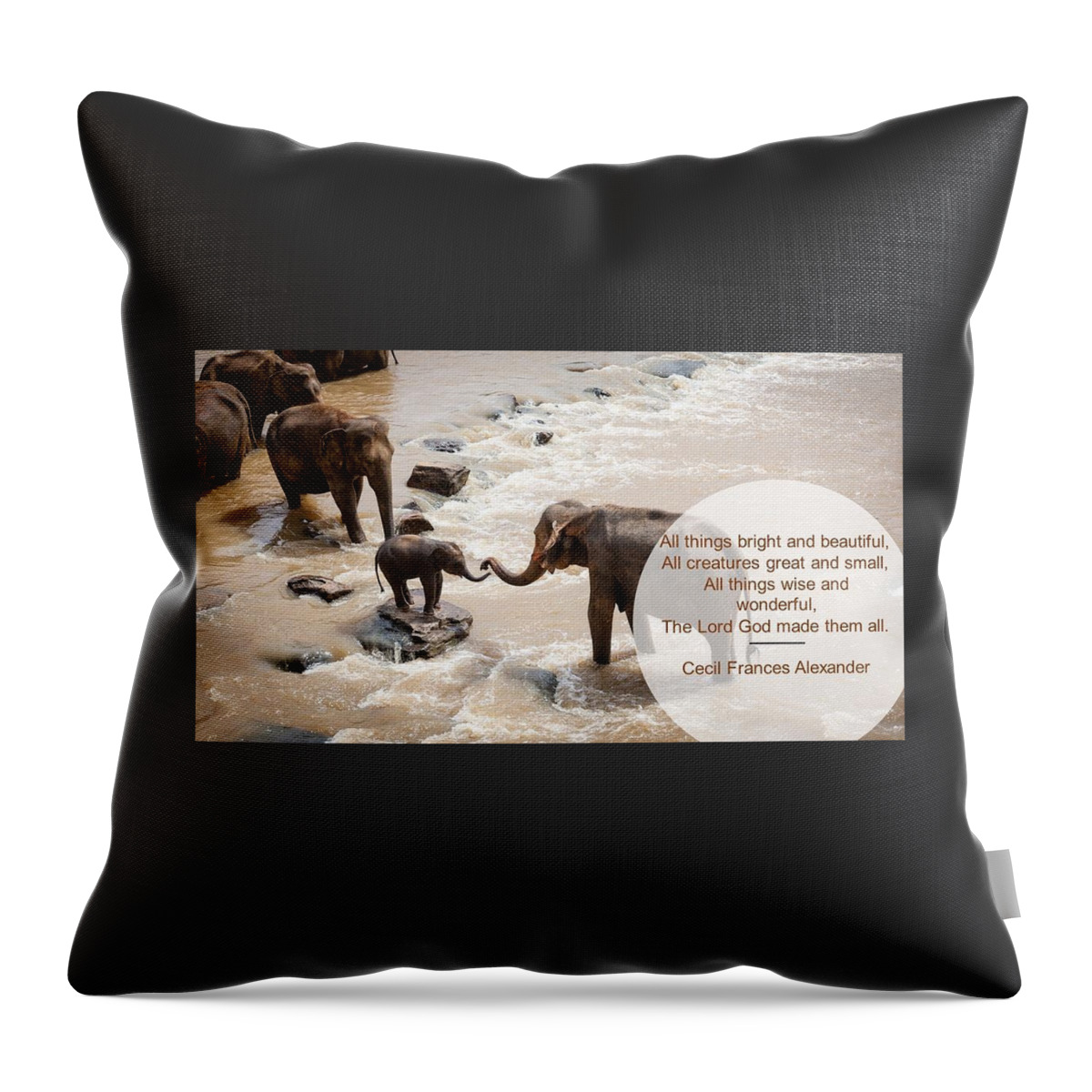 Elephants Throw Pillow featuring the photograph Elephants All Creatures Great and Small by Nancy Ayanna Wyatt