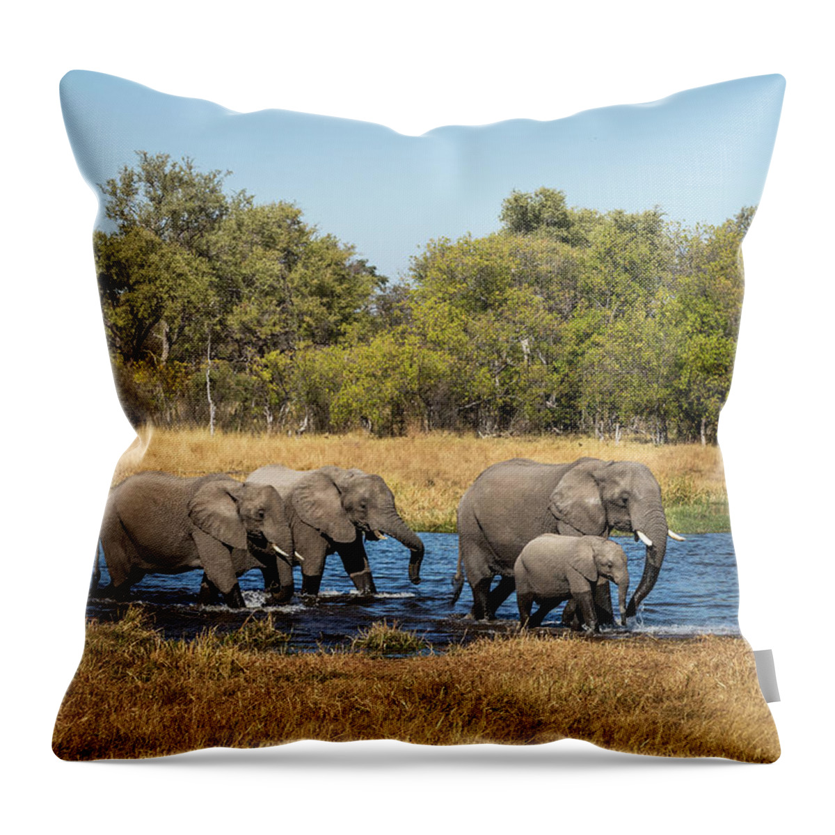 African Elephants Throw Pillow featuring the photograph Elephants Crossing the River by Elvira Peretsman