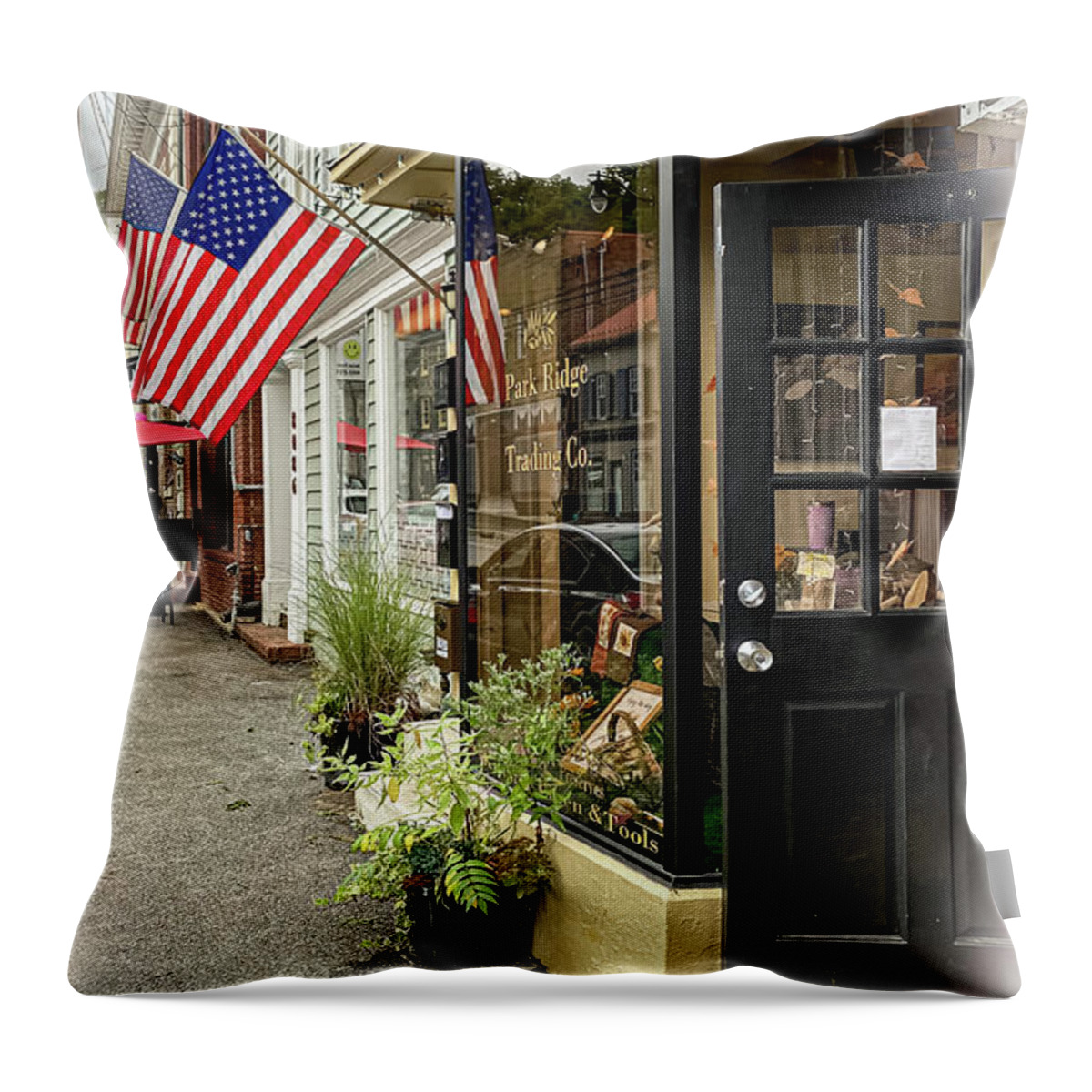 Flag Throw Pillow featuring the photograph Ellicott City Maryland 12 by William Norton