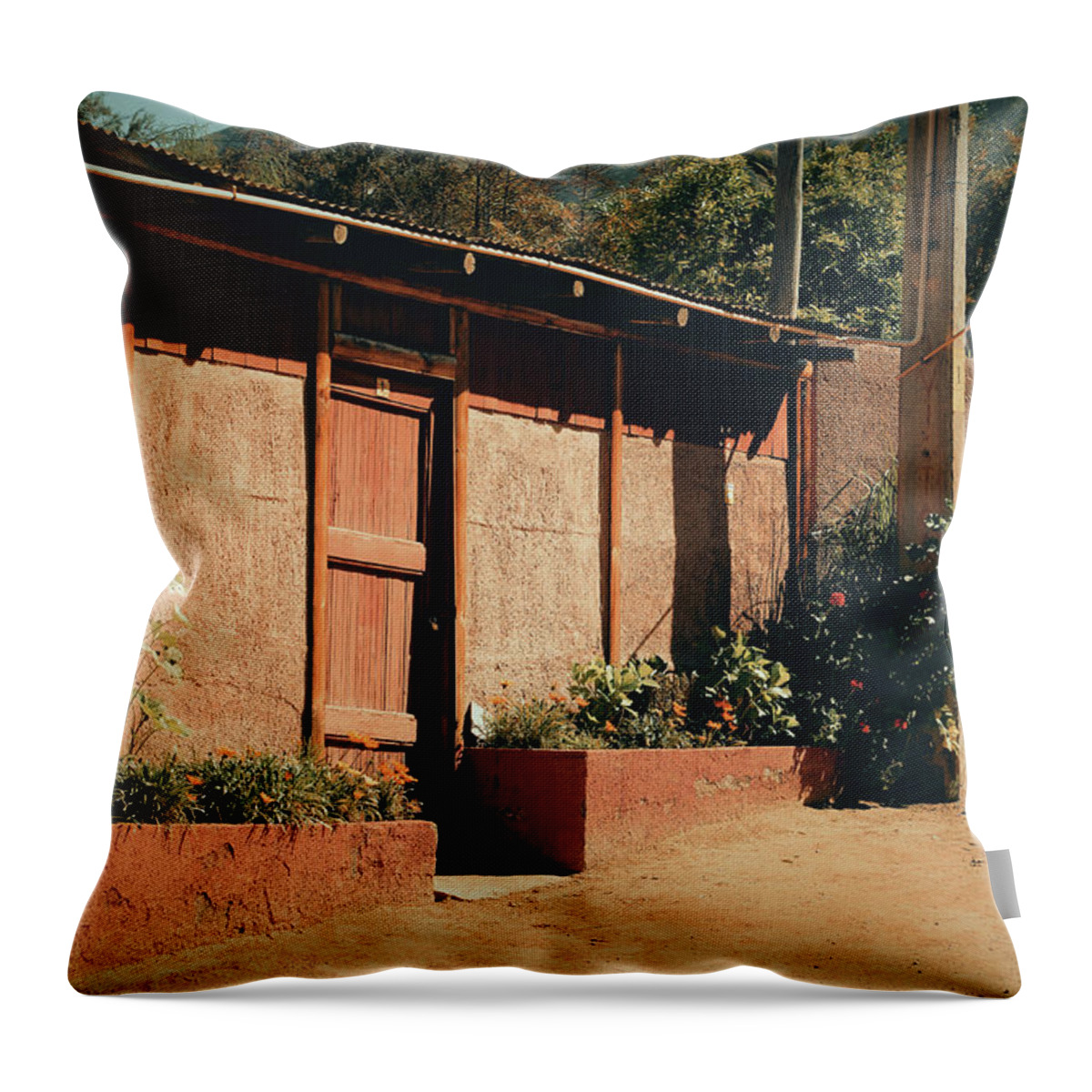Elqui Valley Throw Pillow featuring the photograph Elqui Valley - Chile by Maria Angelica Maira