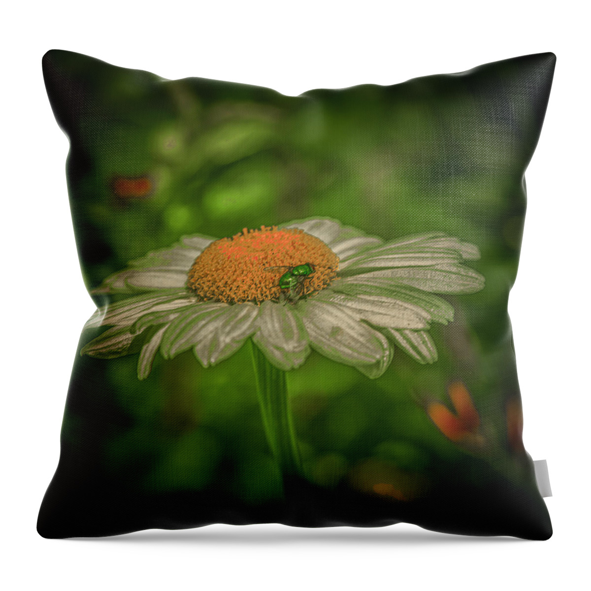 Elves Fly Throw Pillow featuring the photograph Elves fly by Leif Sohlman