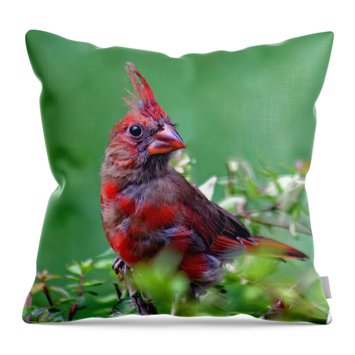Nature Throw Pillow featuring the photograph Emerging by Gina Fitzhugh